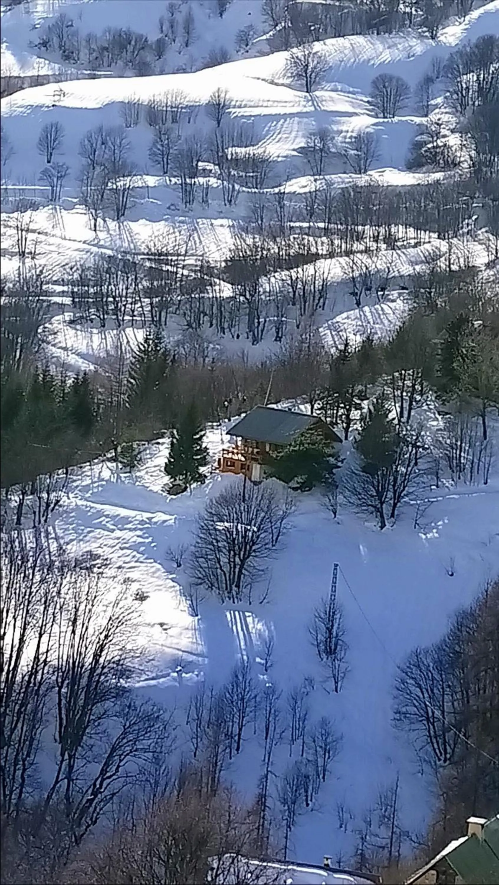 Les marmottes d Estenc