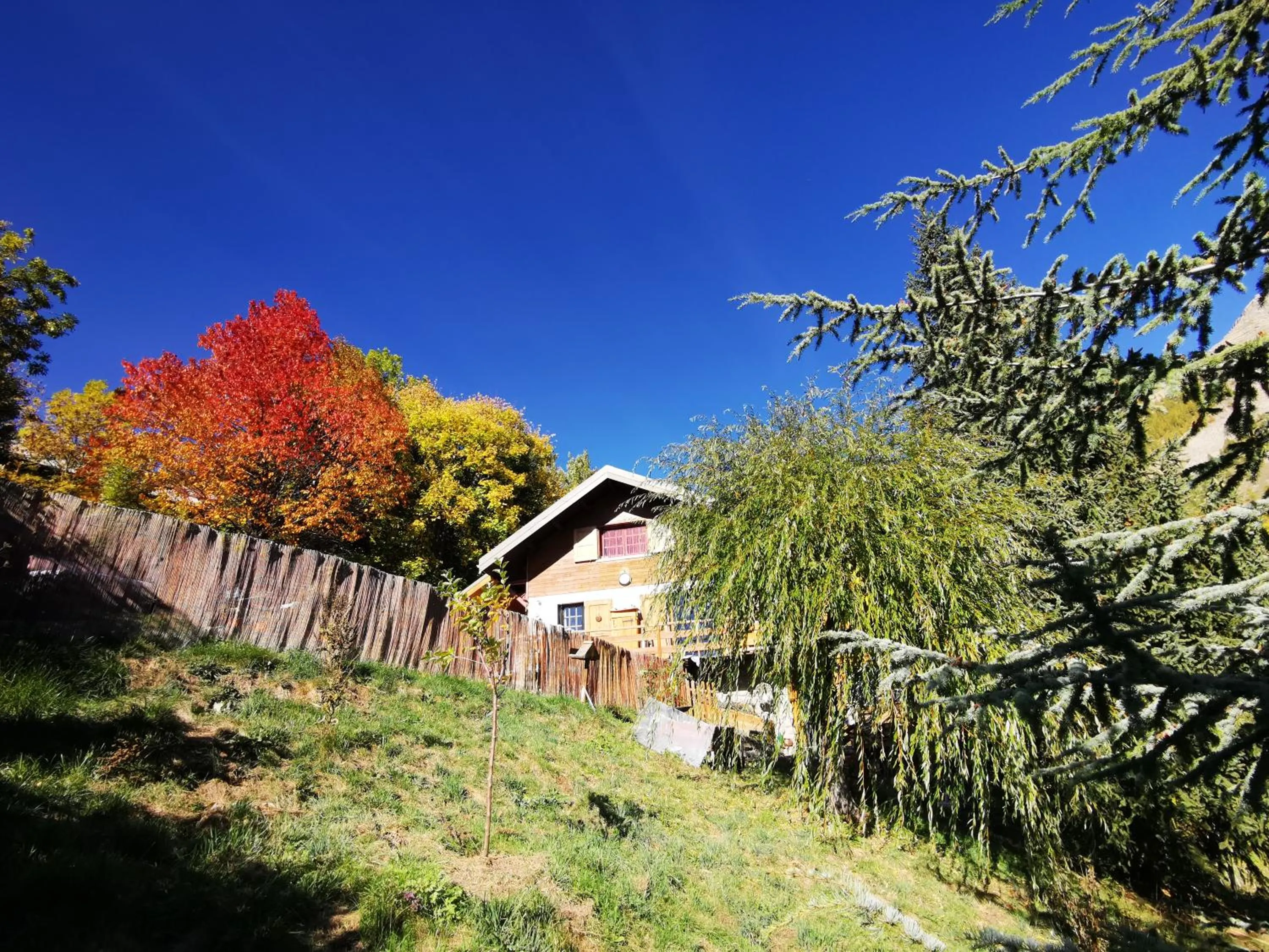 Les marmottes d Estenc