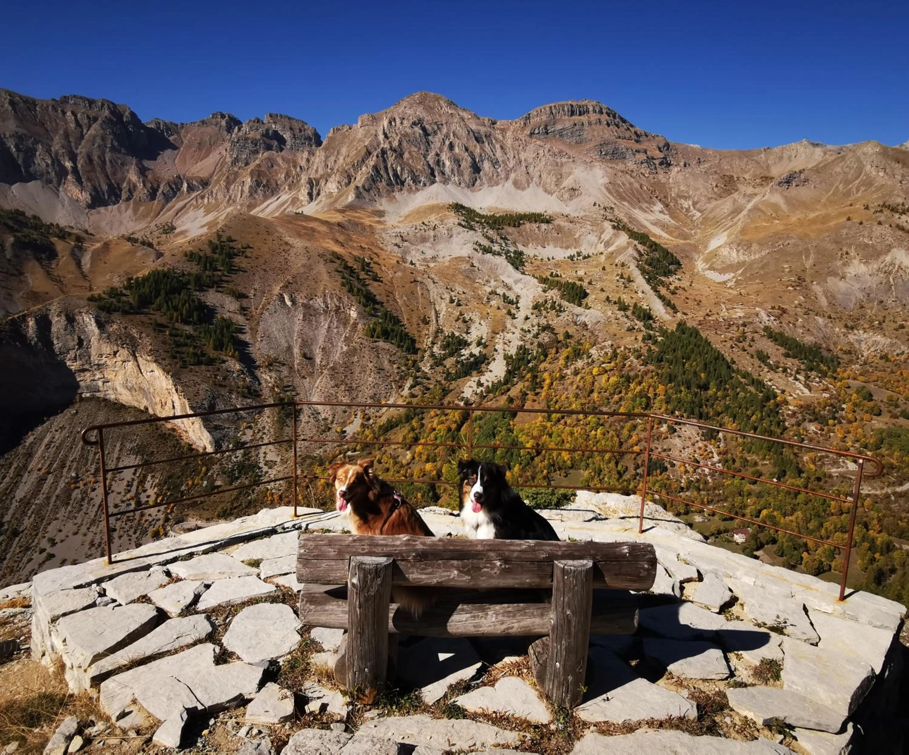 Les marmottes d Estenc