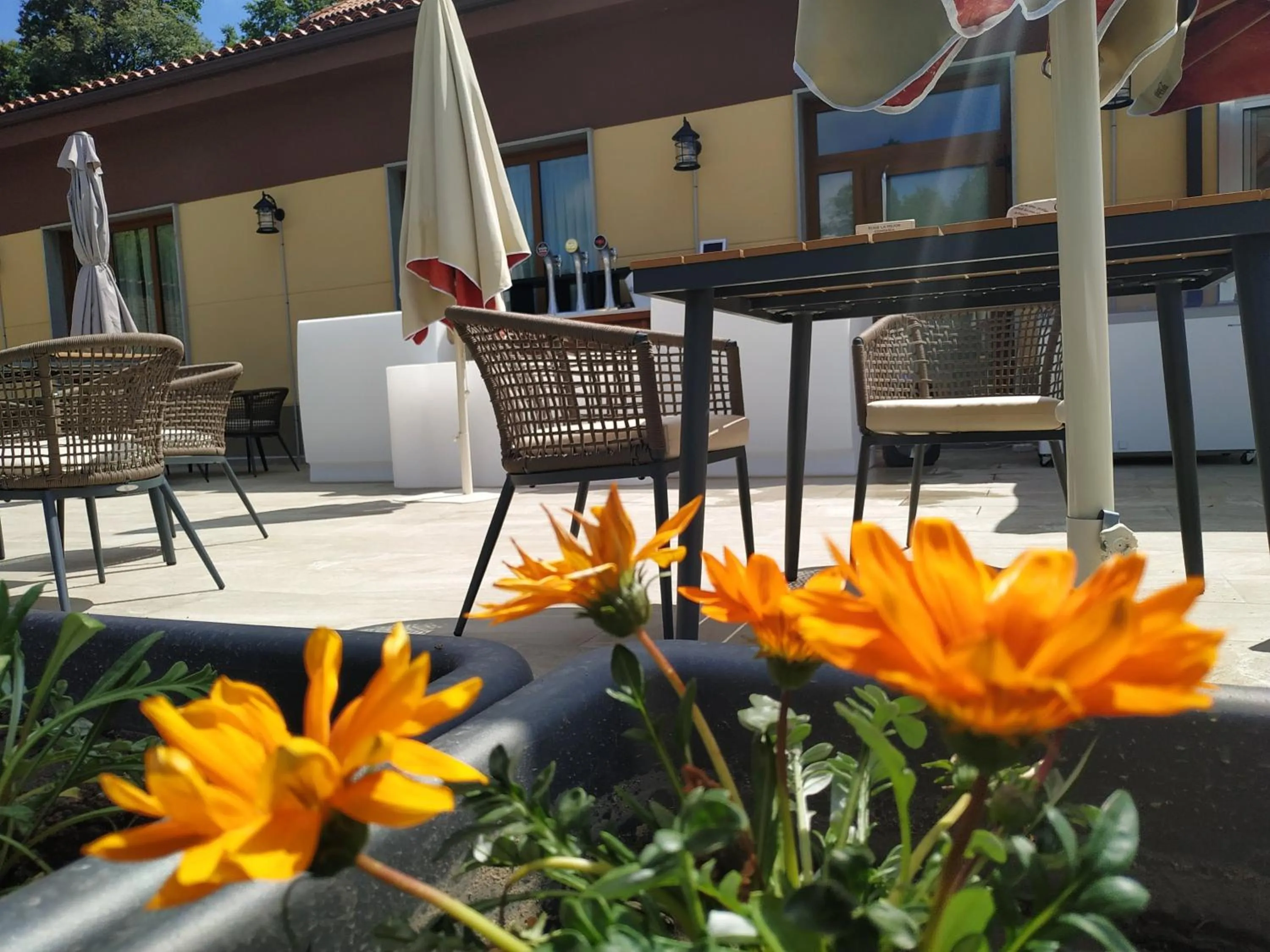Balcony/Terrace in Hotel Restaurante Val