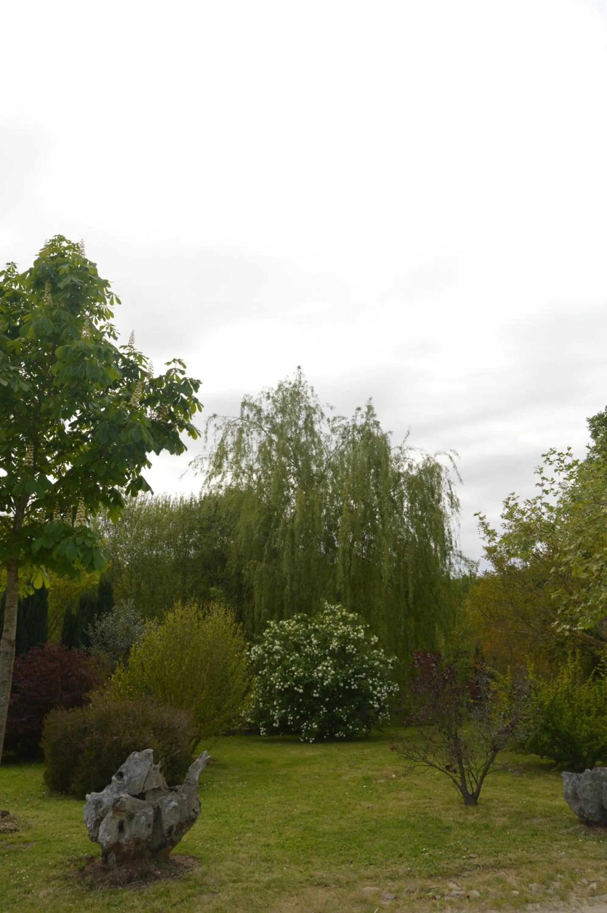 Garden in Hotel Restaurante Val