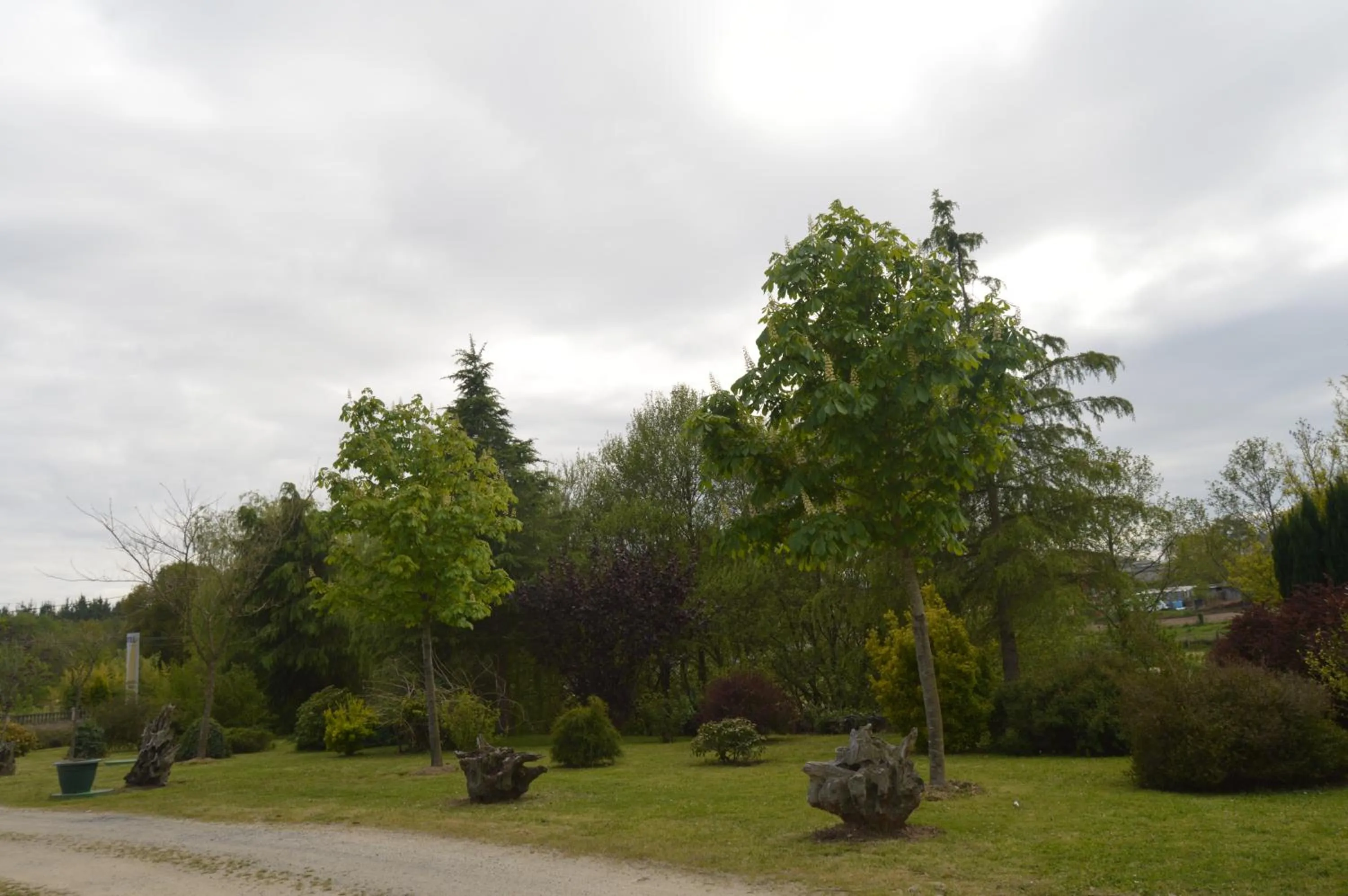 Garden in Hotel Restaurante Val