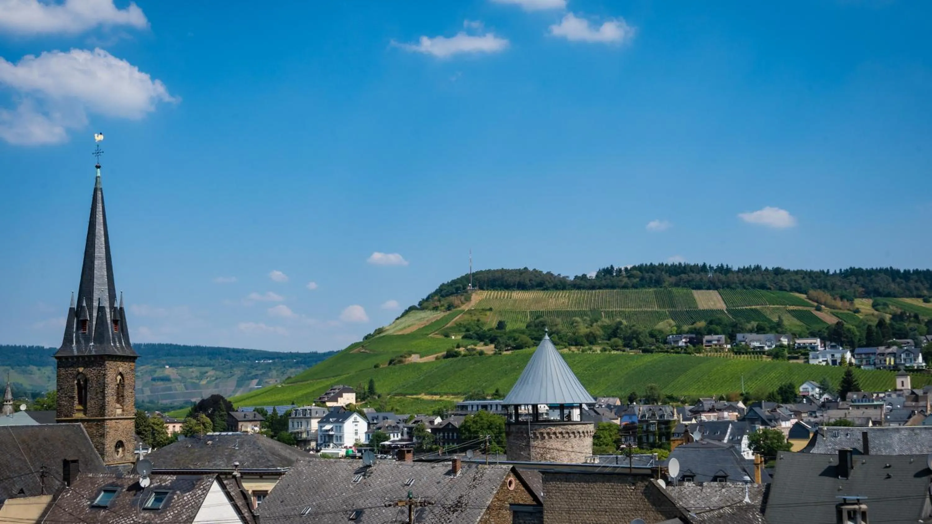 Landmark view in Hotel Goldene Traube - by Neugart
