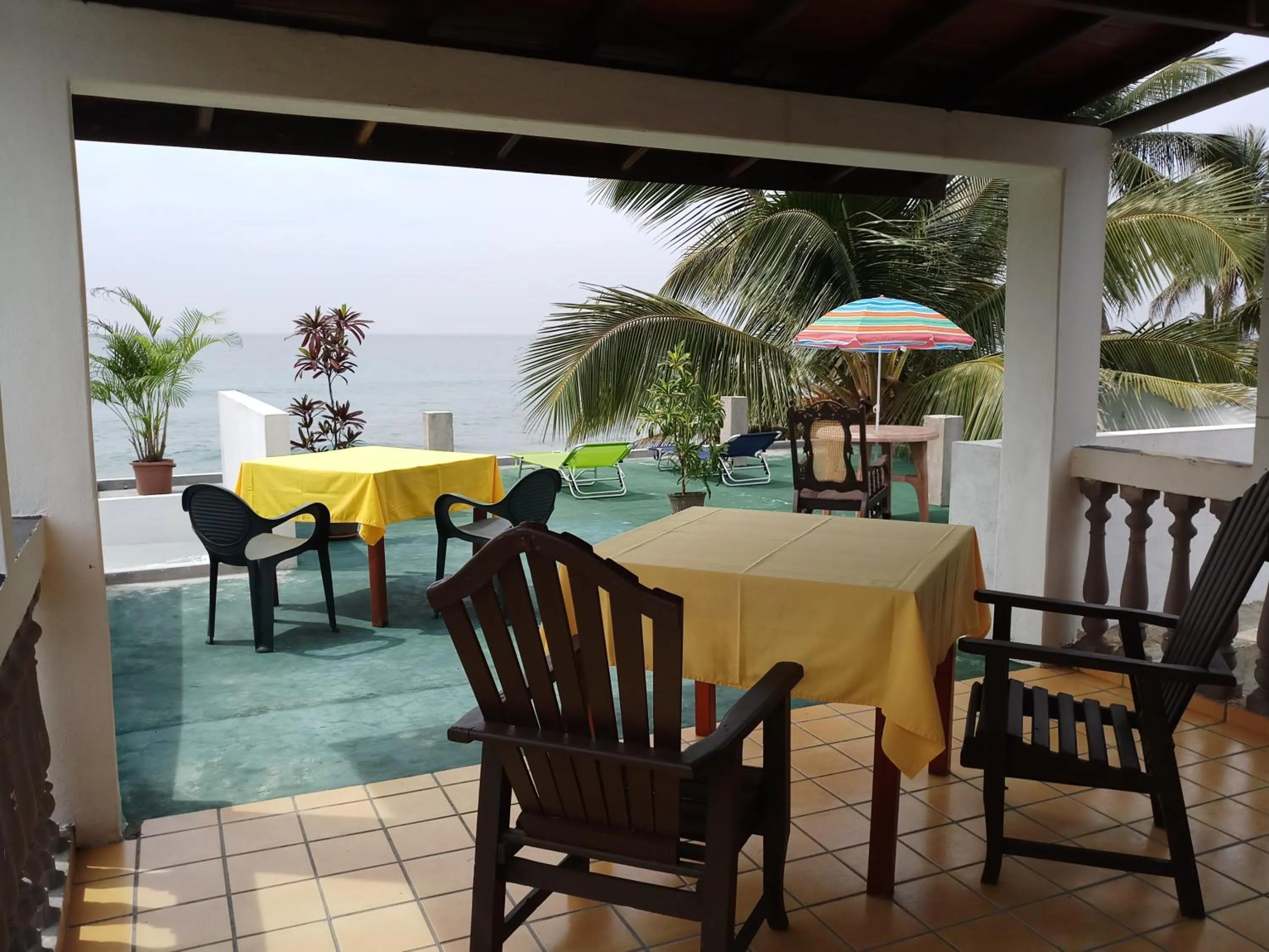 View (from property/room) in Hotel Apollo