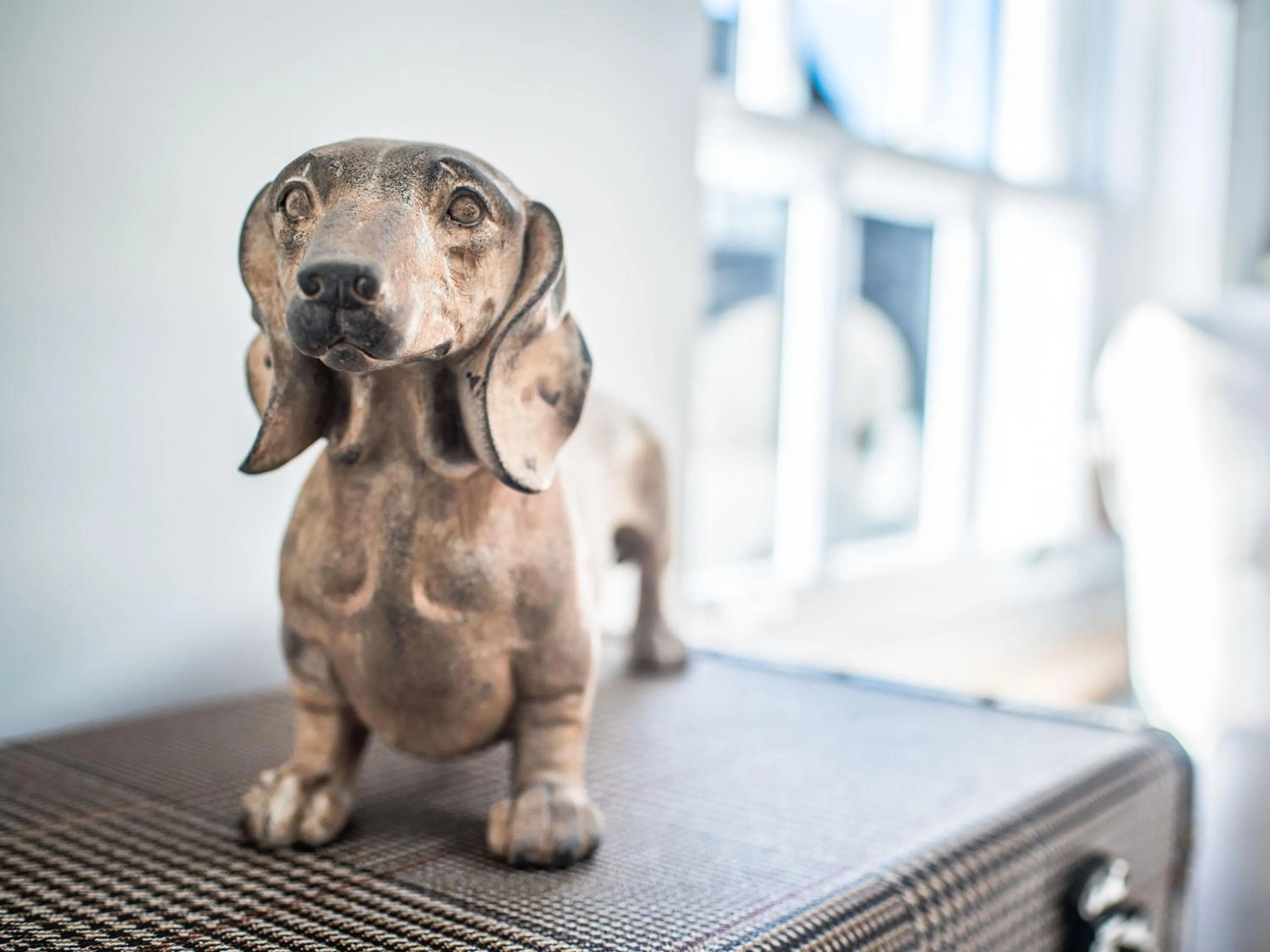 Other in The Royal Standard