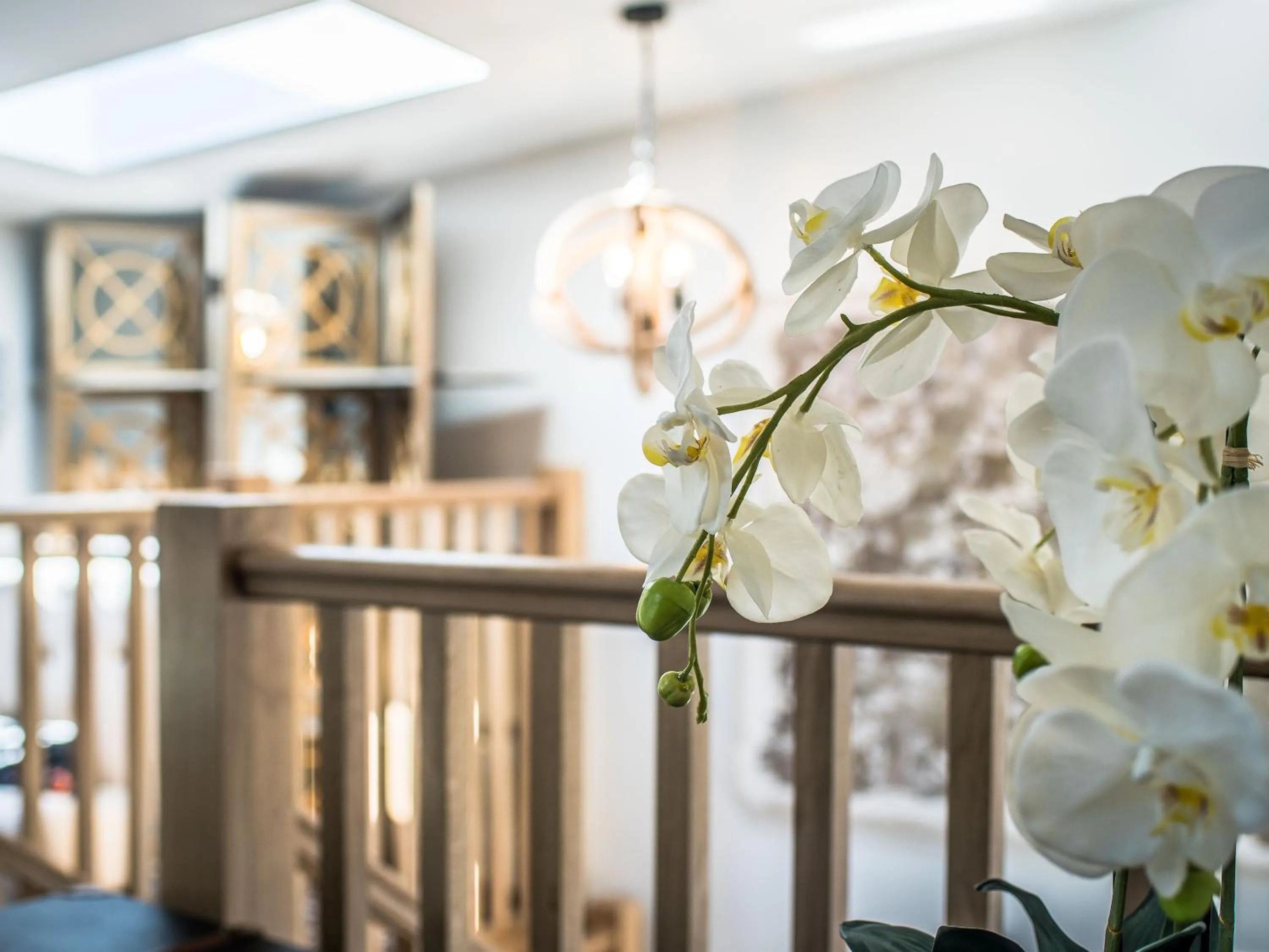 Other in The Royal Standard