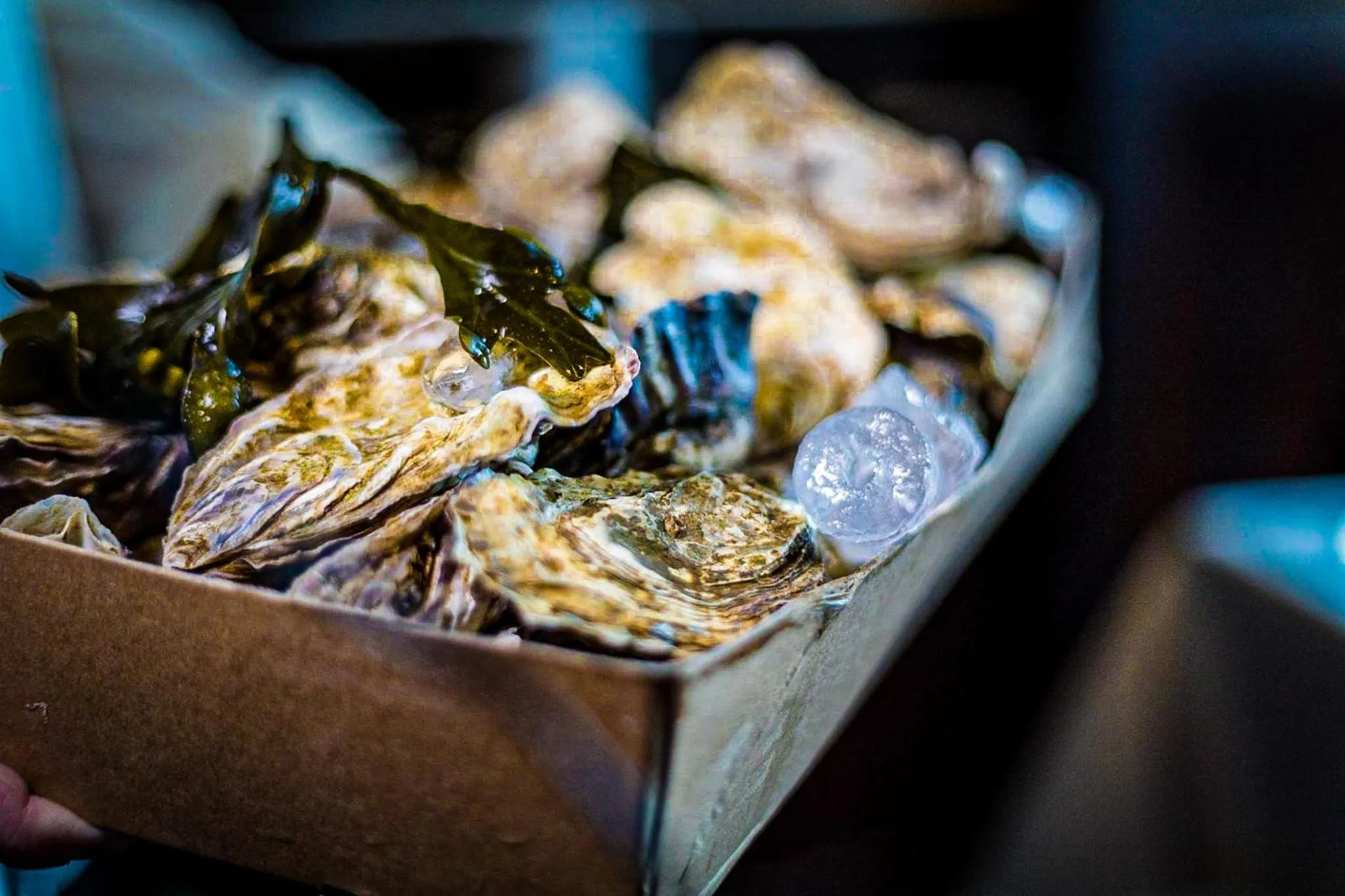 Food and drinks in Rising Sun Hotel