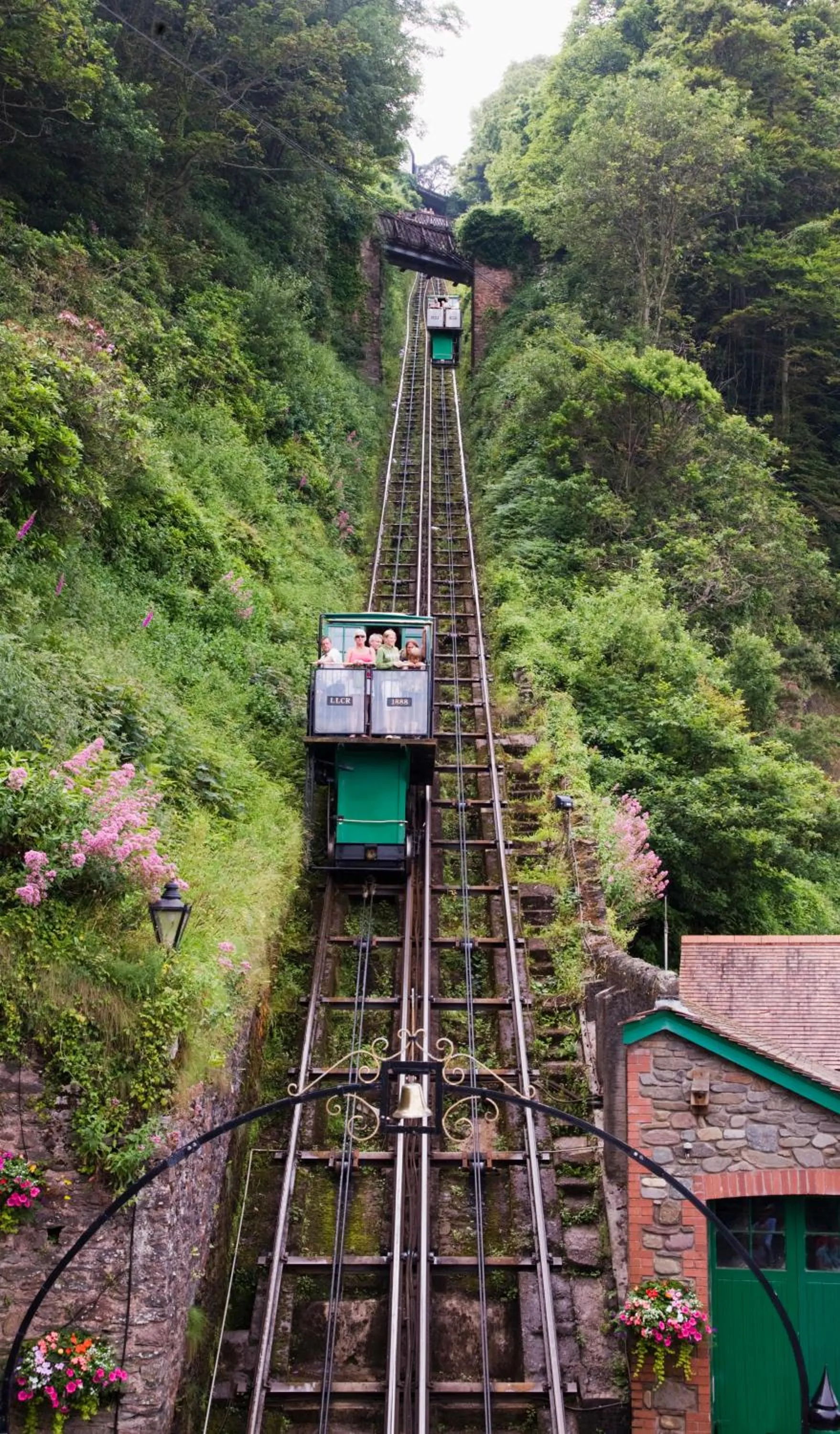 Area and facilities in Rising Sun Hotel