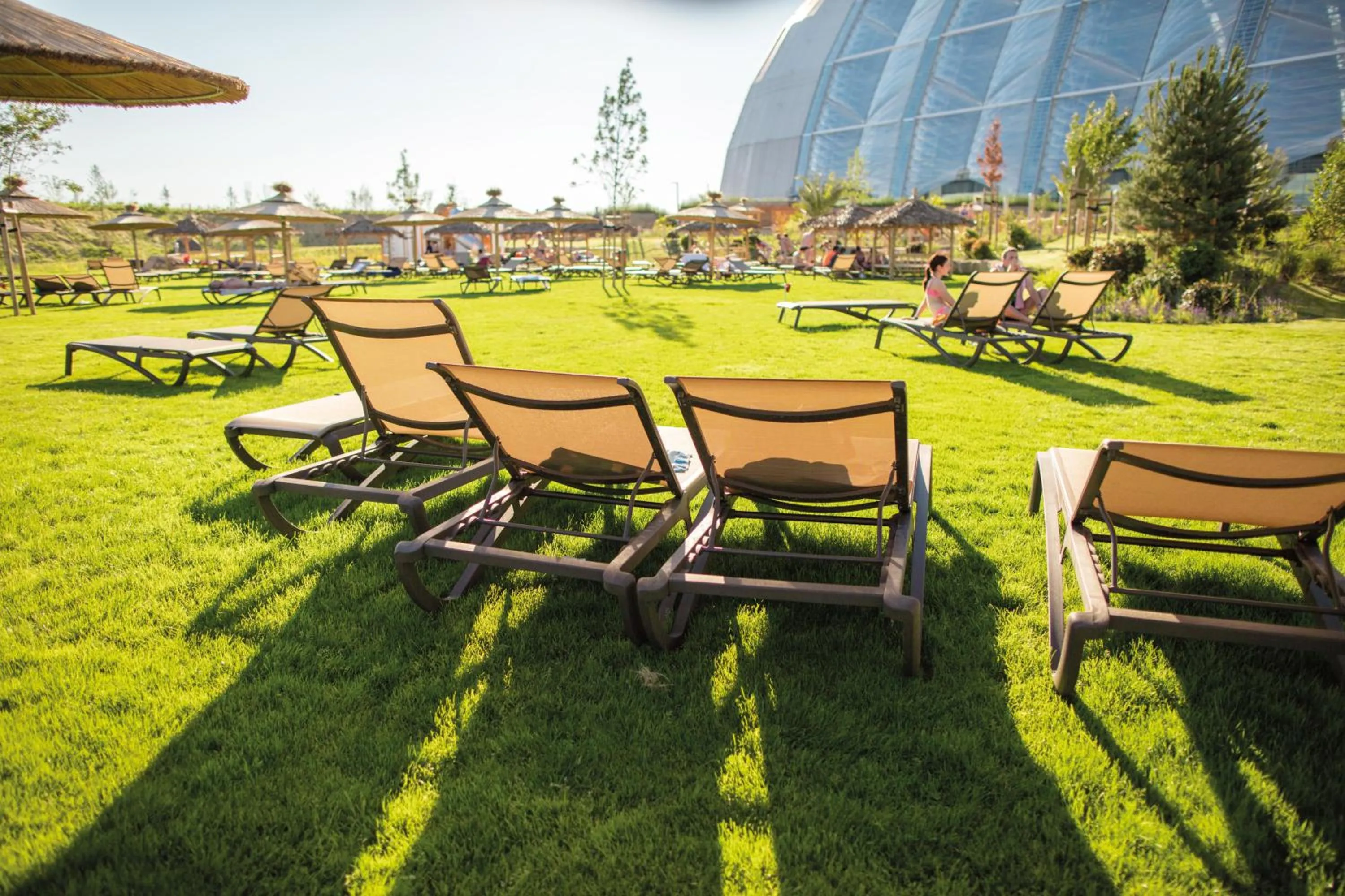 Other in Tropical Islands