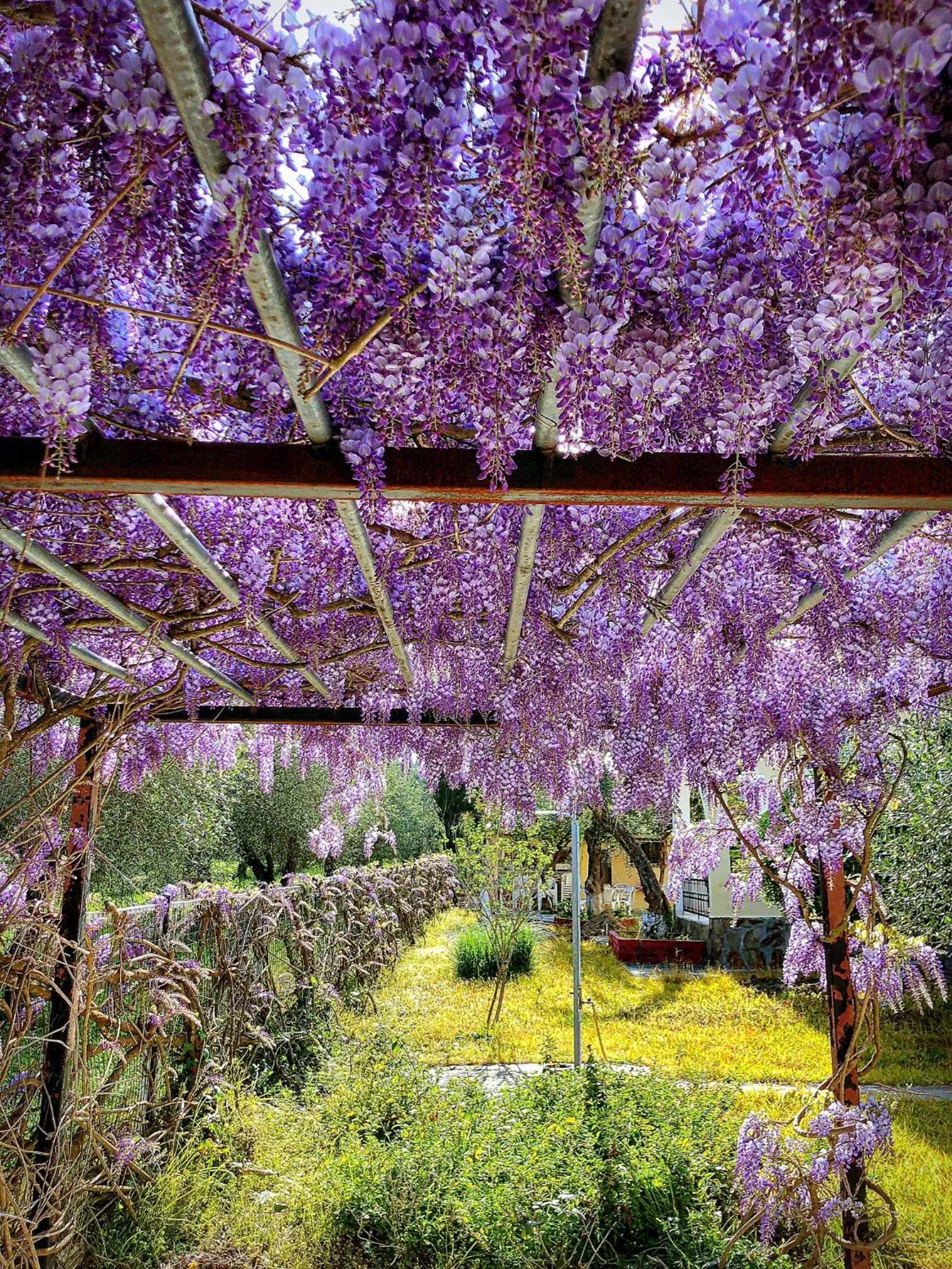Garden view in Sun 'n Chill, Boutique Apartments & Beach Villa