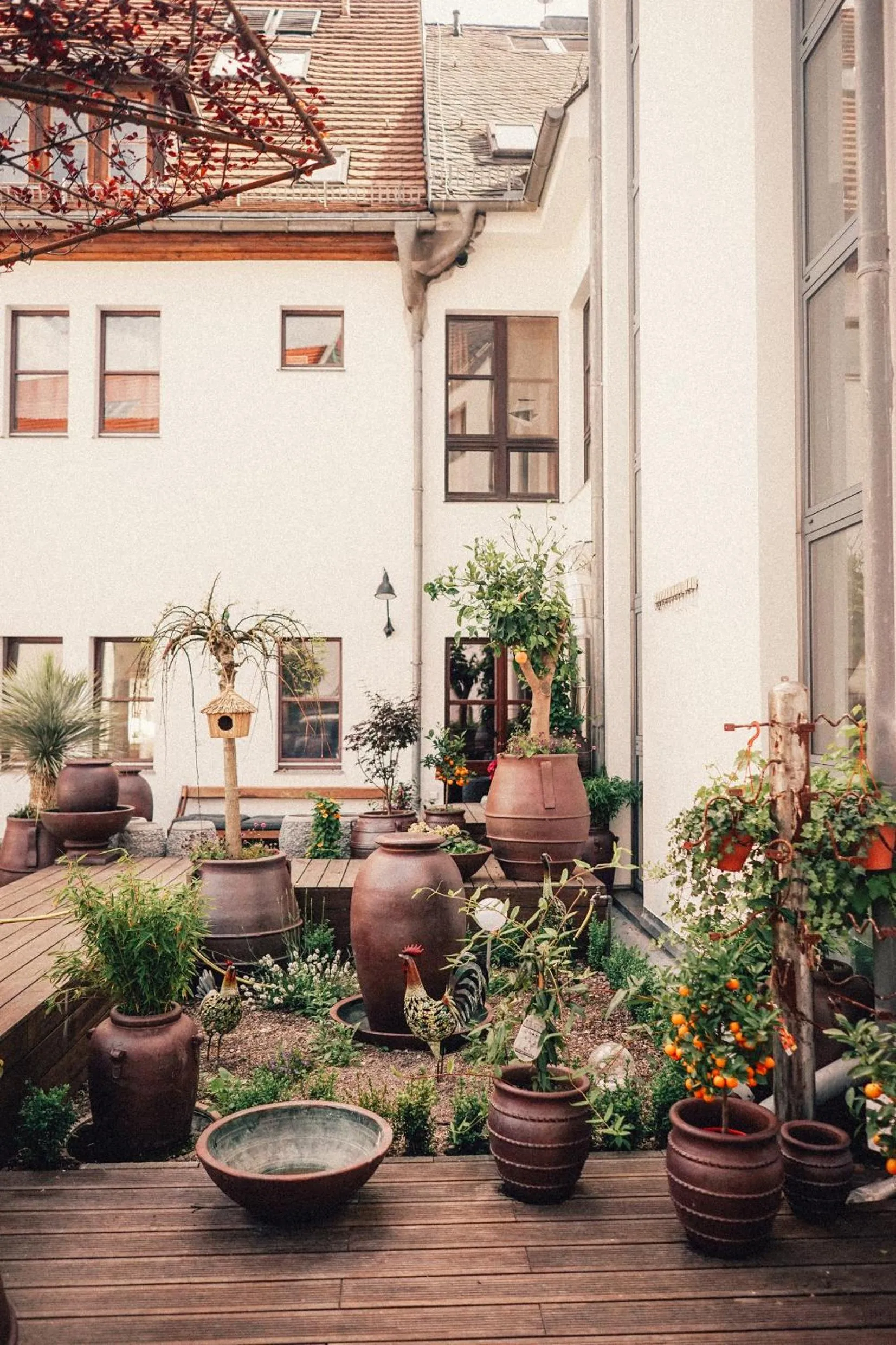 Patio in 36 Phô Cô Hotel & Suites