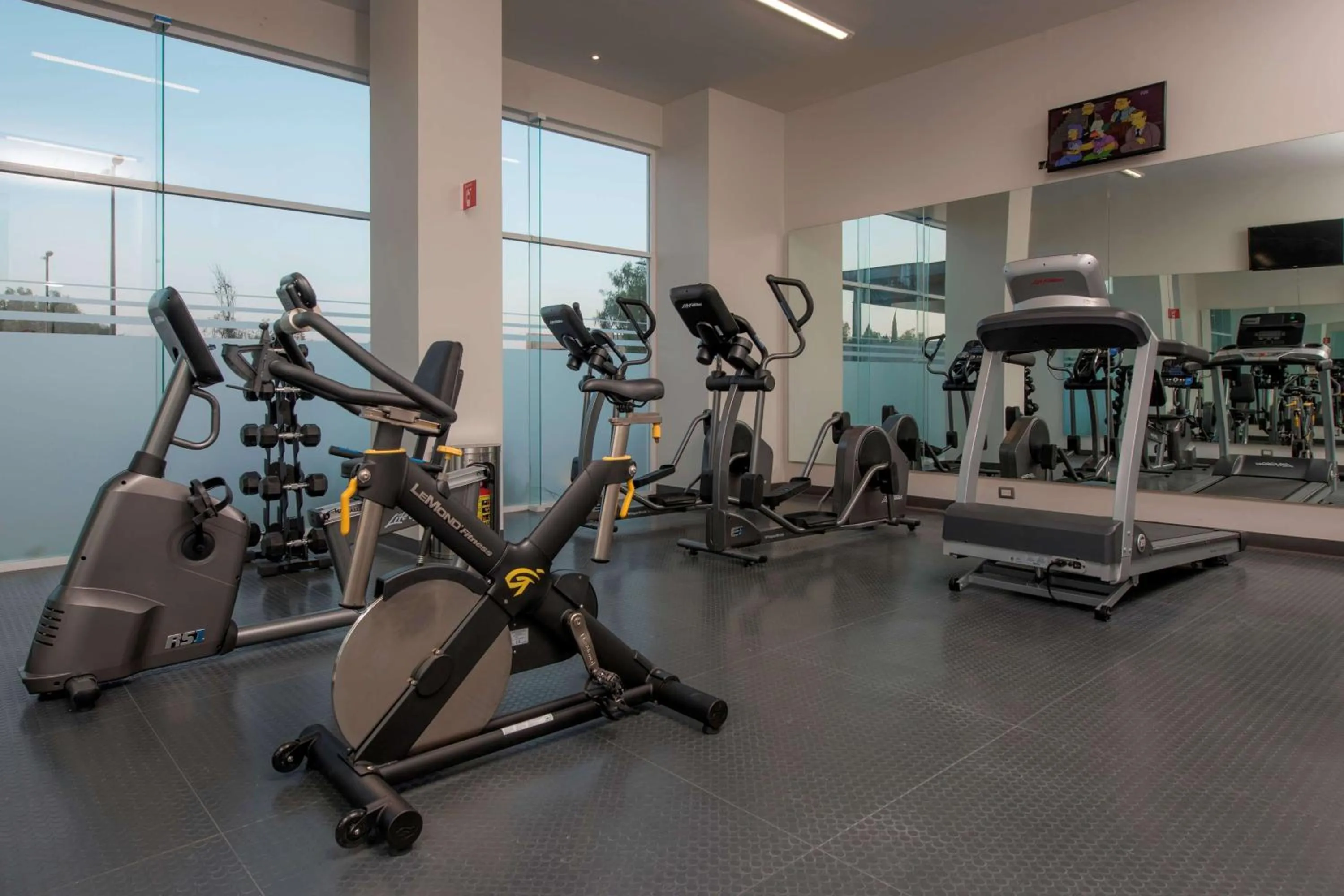 Fitness centre/facilities in Microtel Inn & Suites by Wyndham San Luis Potosi