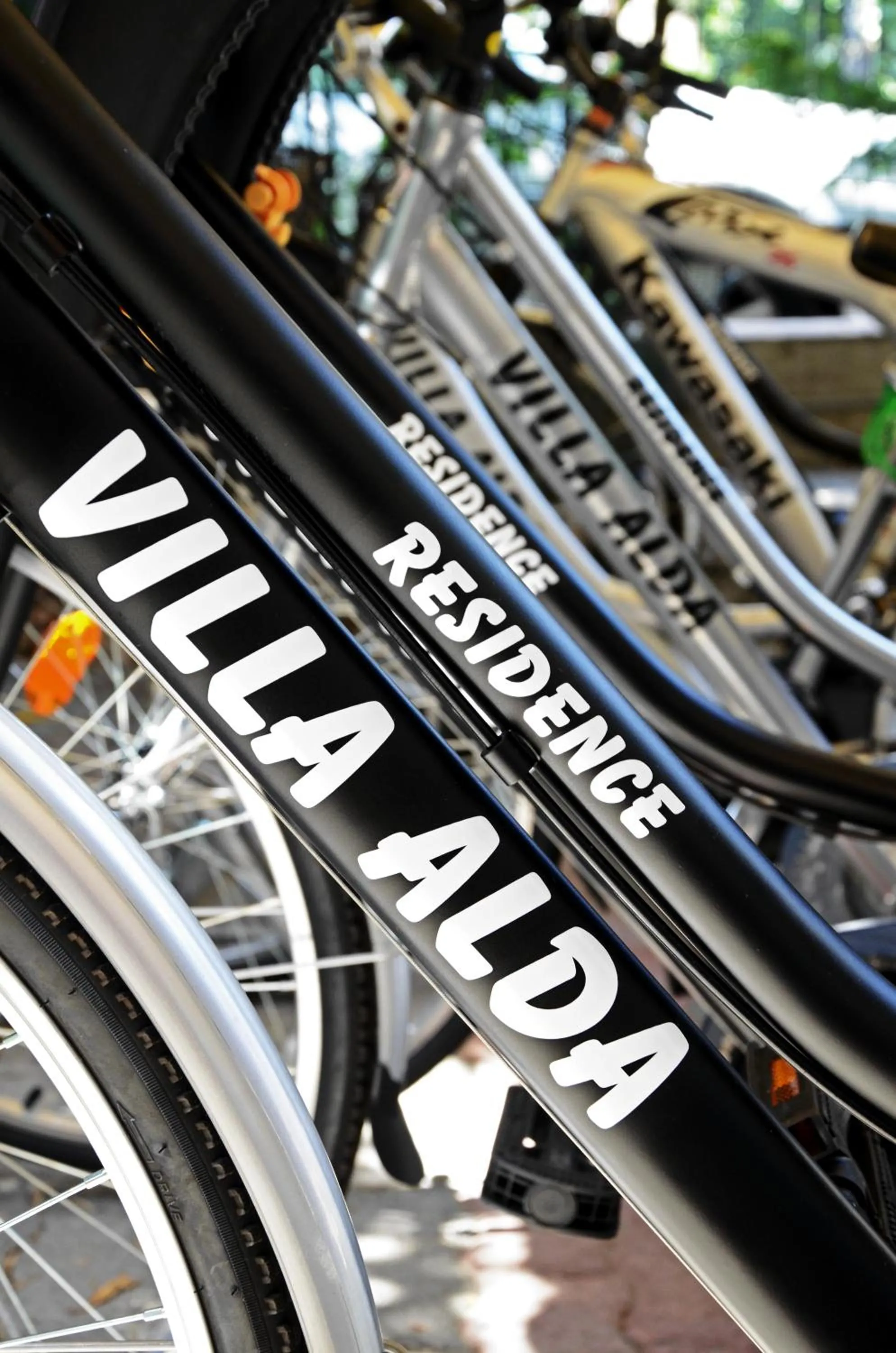 Cycling in Residence Villa Alda