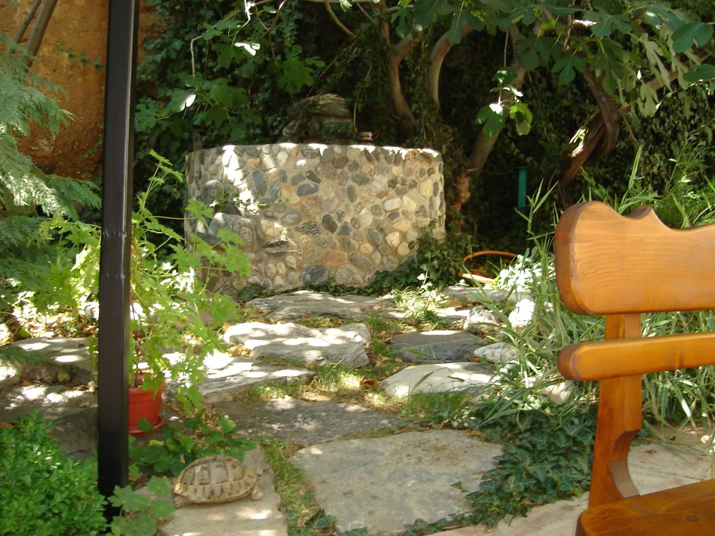 Garden view in Centaur Family Hotel