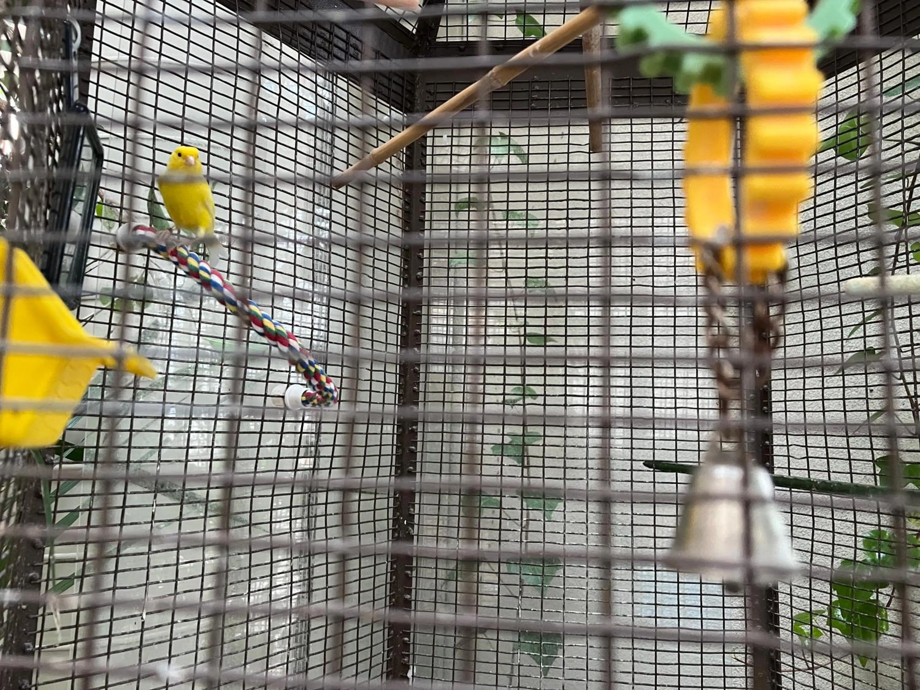 Day in Hotel L'Oie des neiges