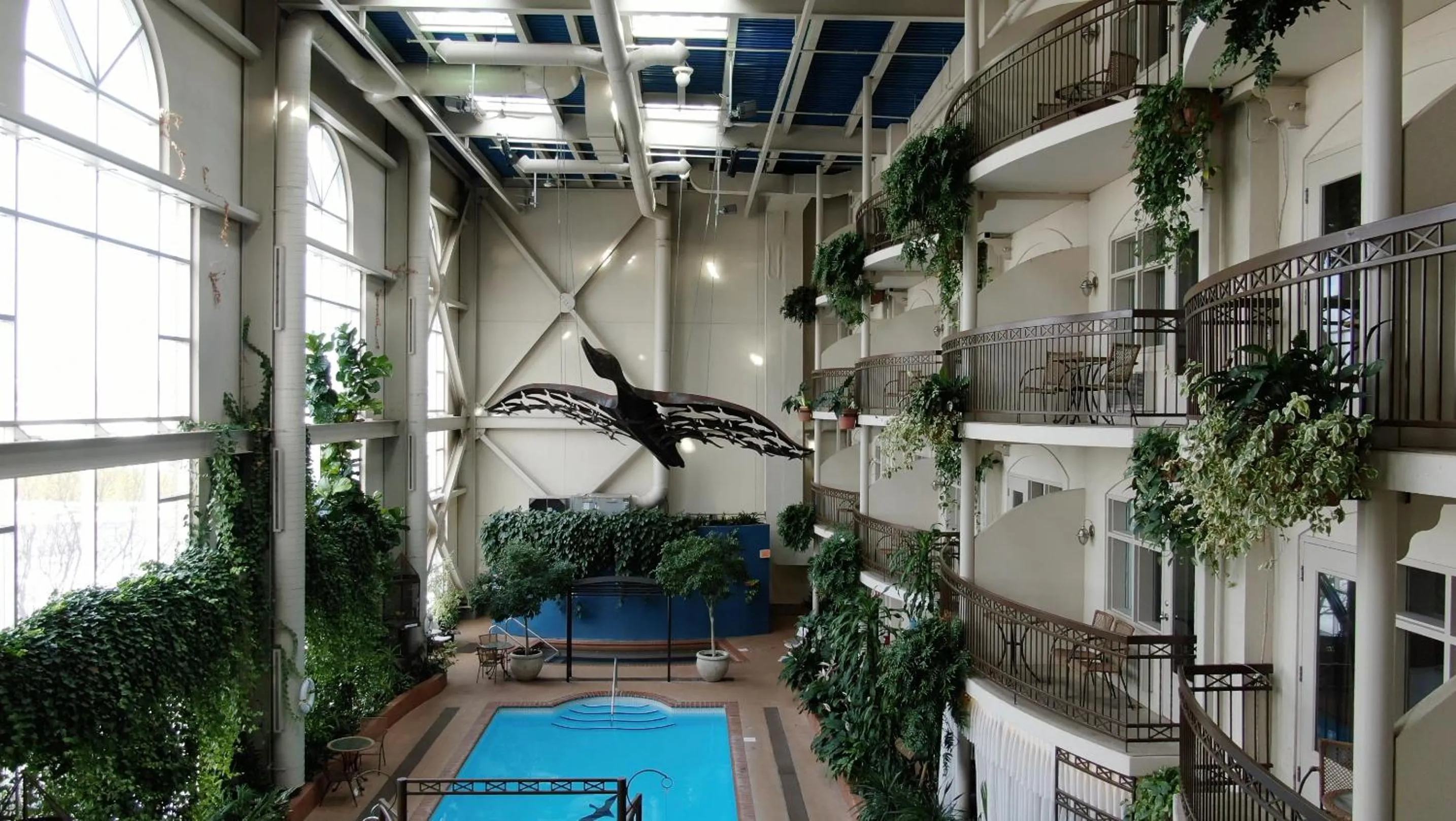 Day in Hotel L'Oie des neiges