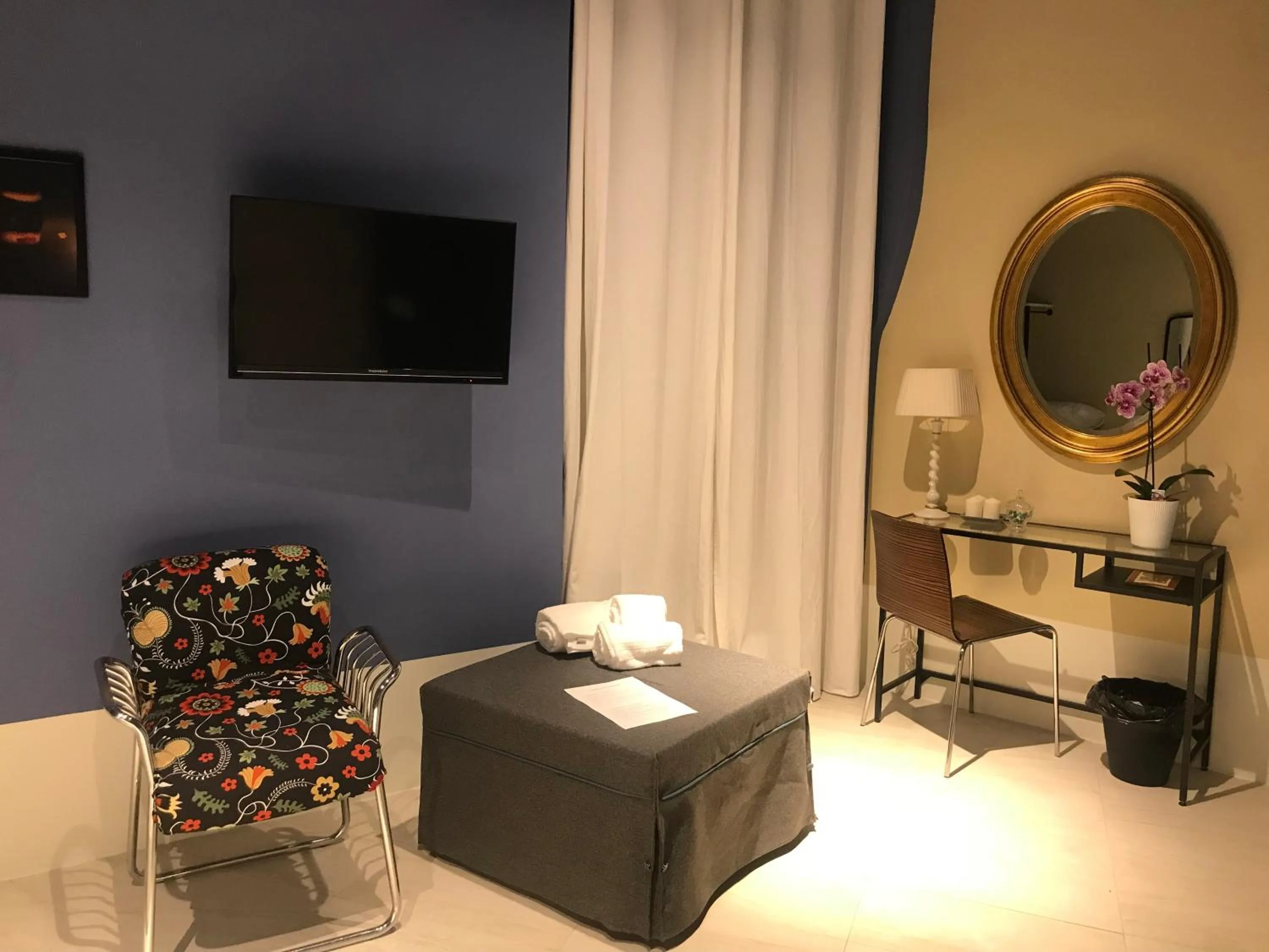 TV and multimedia in TreSette Toledo