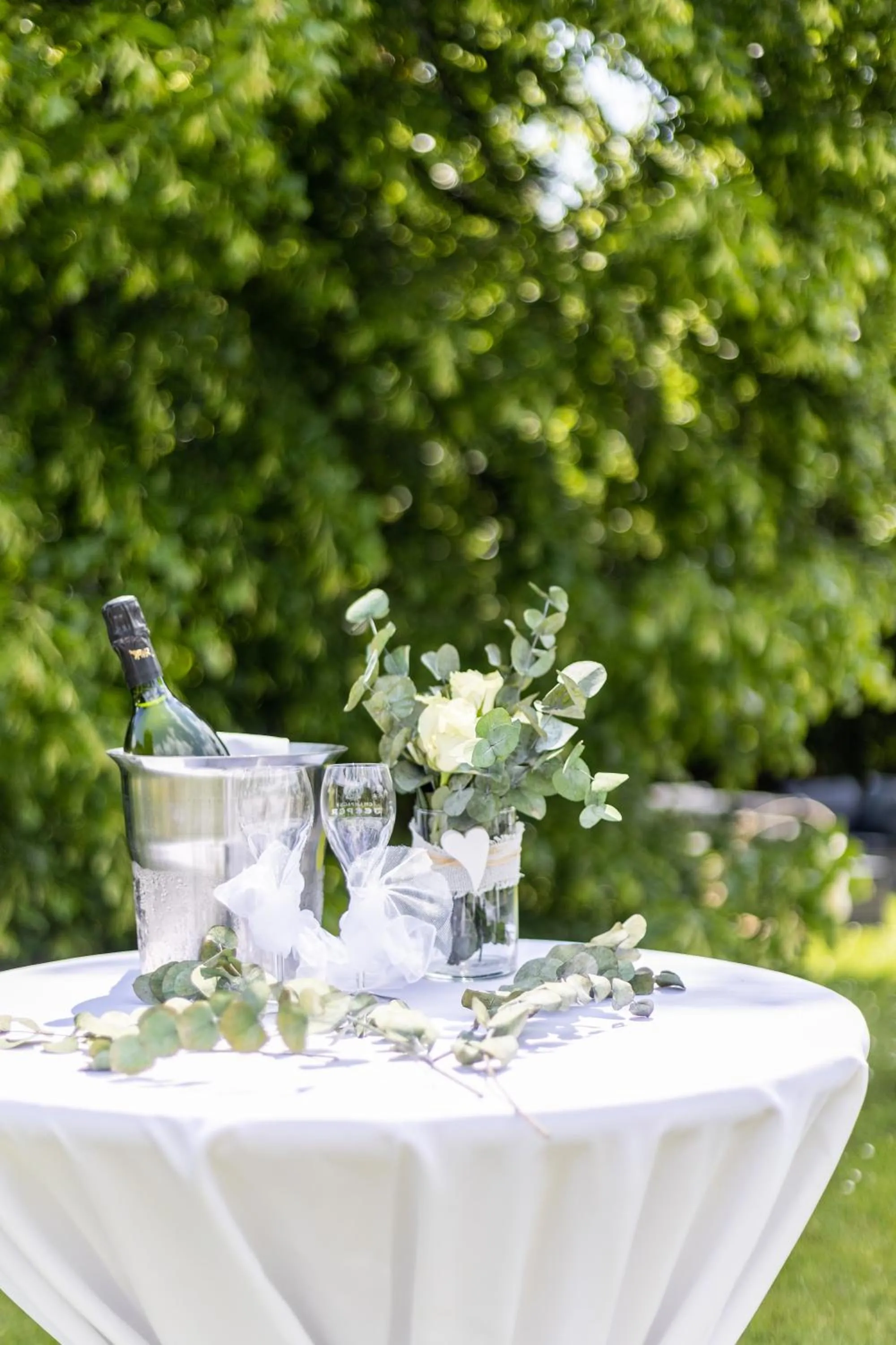 Alcoholic drinks in Soldanella by Hotel Adula