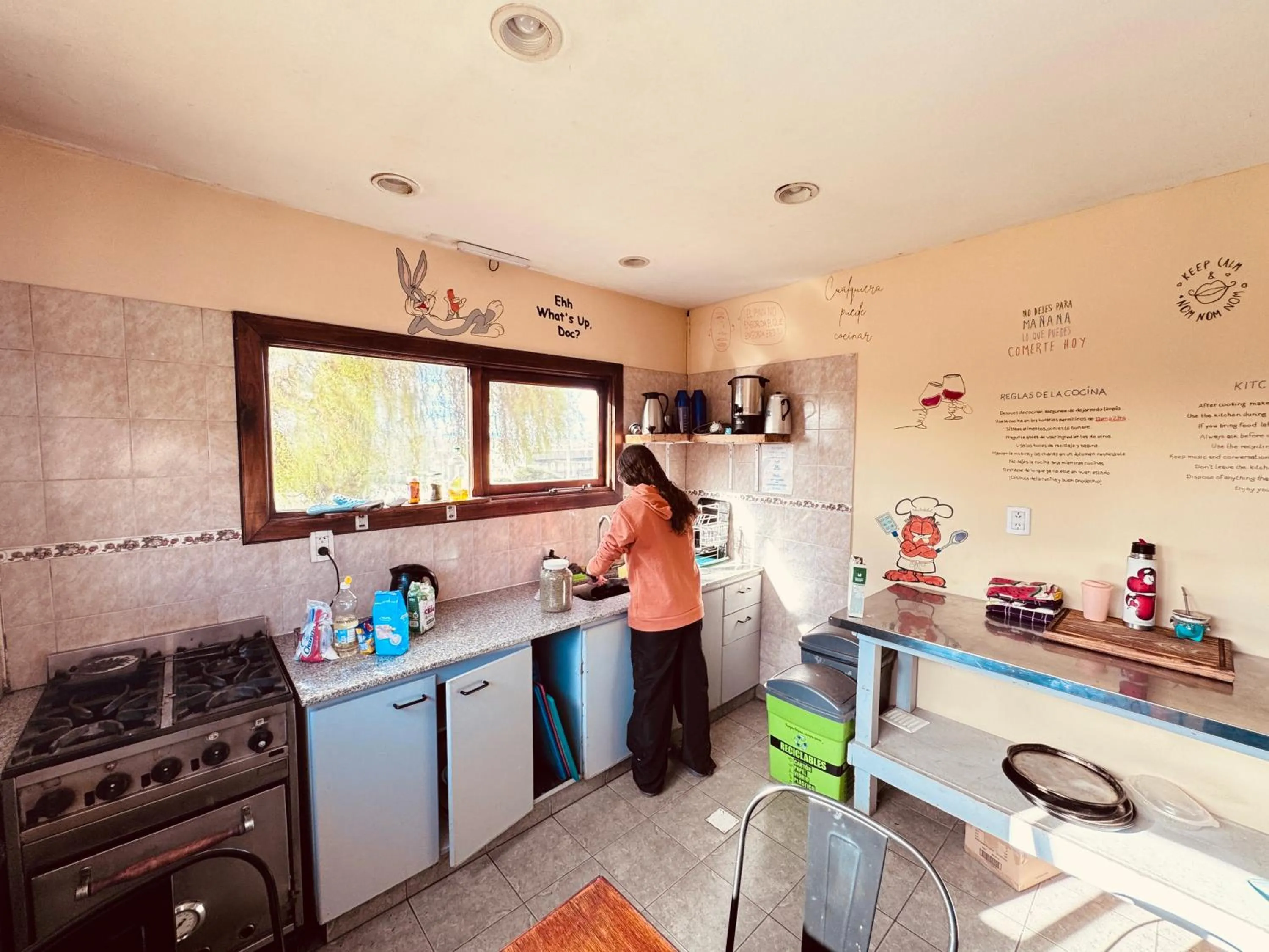 Kitchen or kitchenette in Cabañas y Hostel I Keu Ken