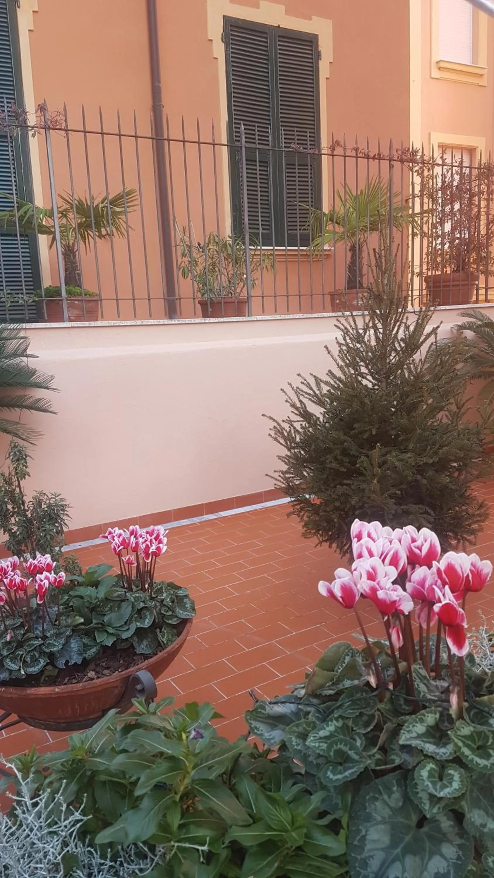 Garden in Albergo Natalina