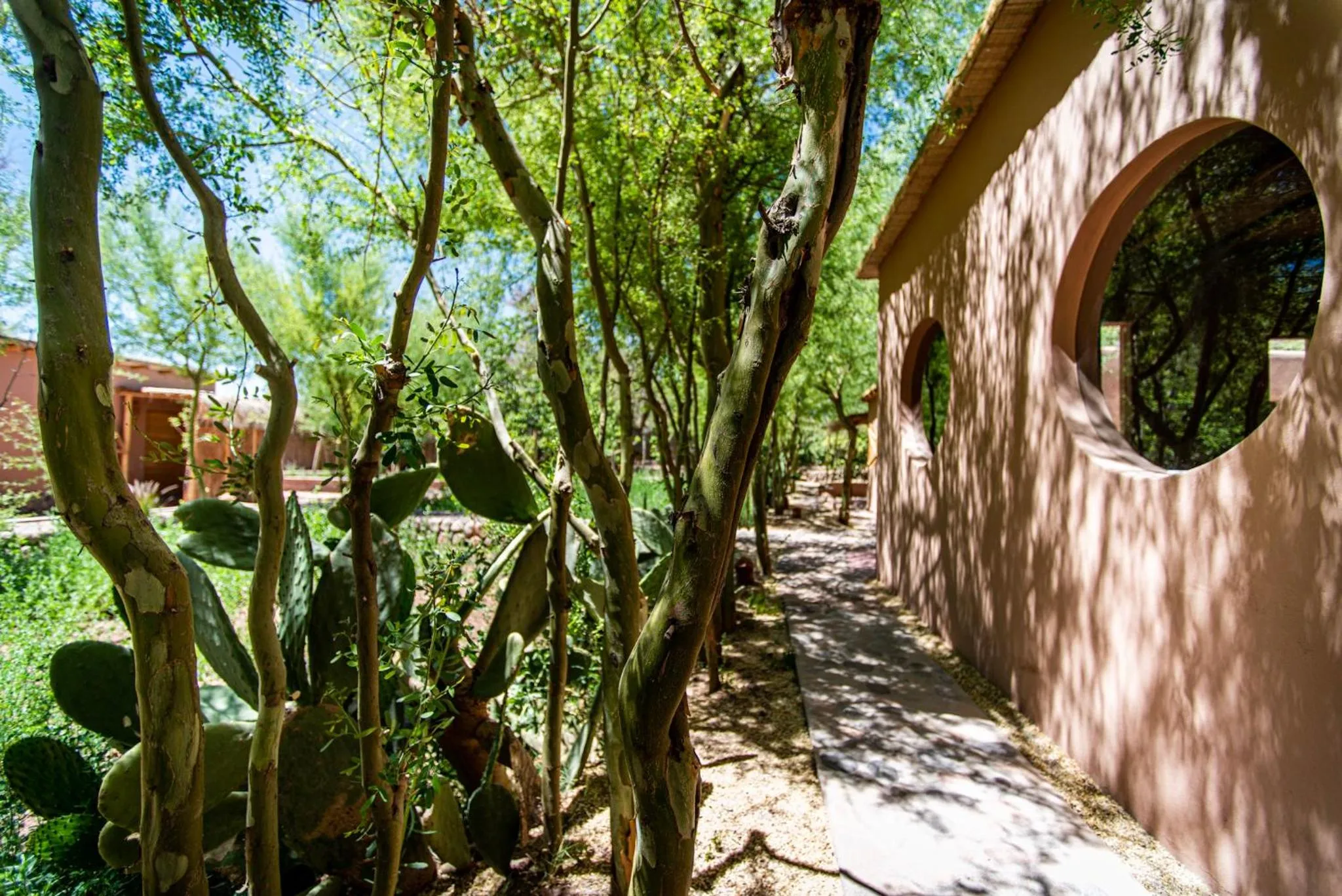 Property building in Naturalis Hotel