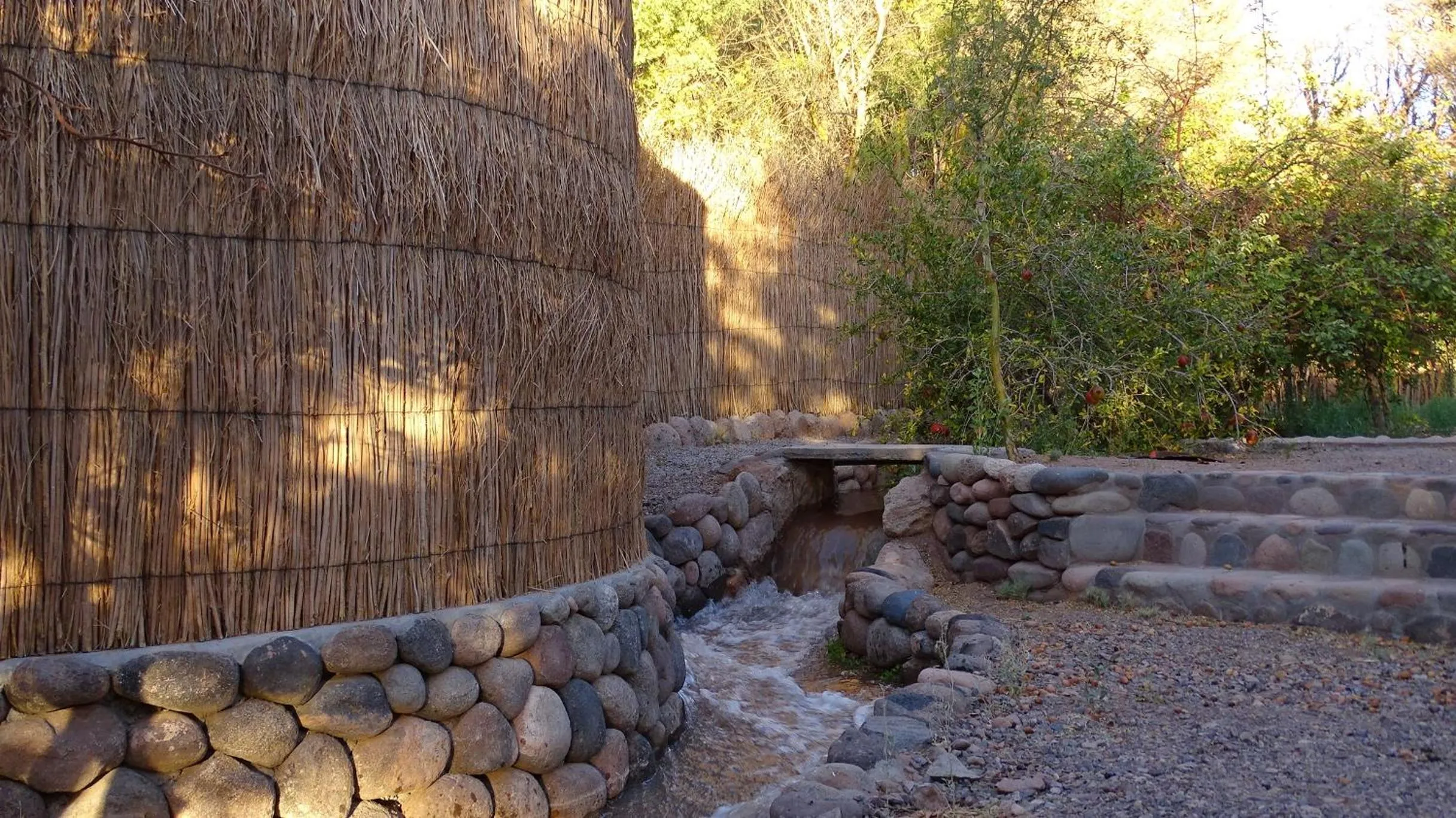 Garden view in Naturalis Hotel