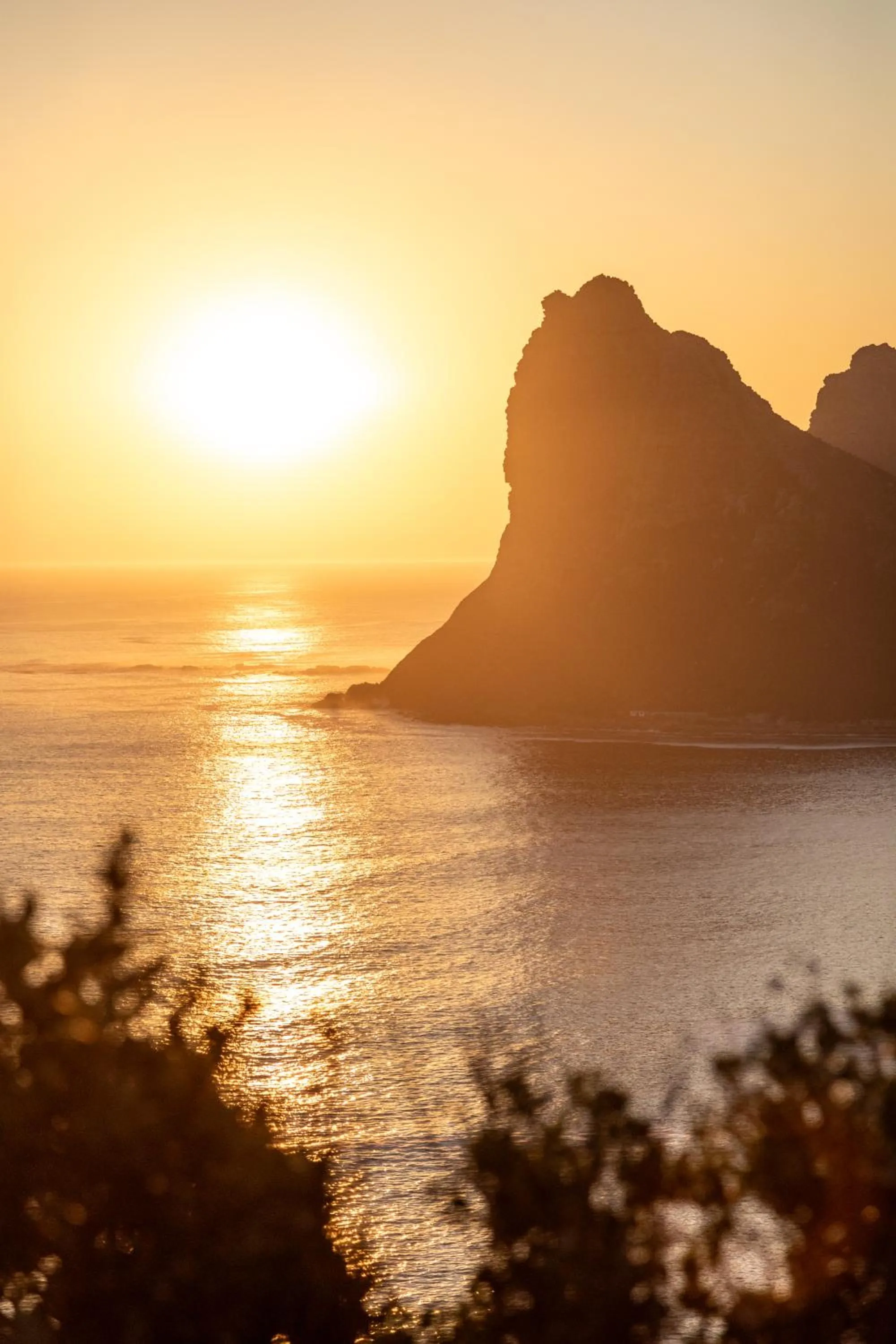 Natural landscape in Acorn House