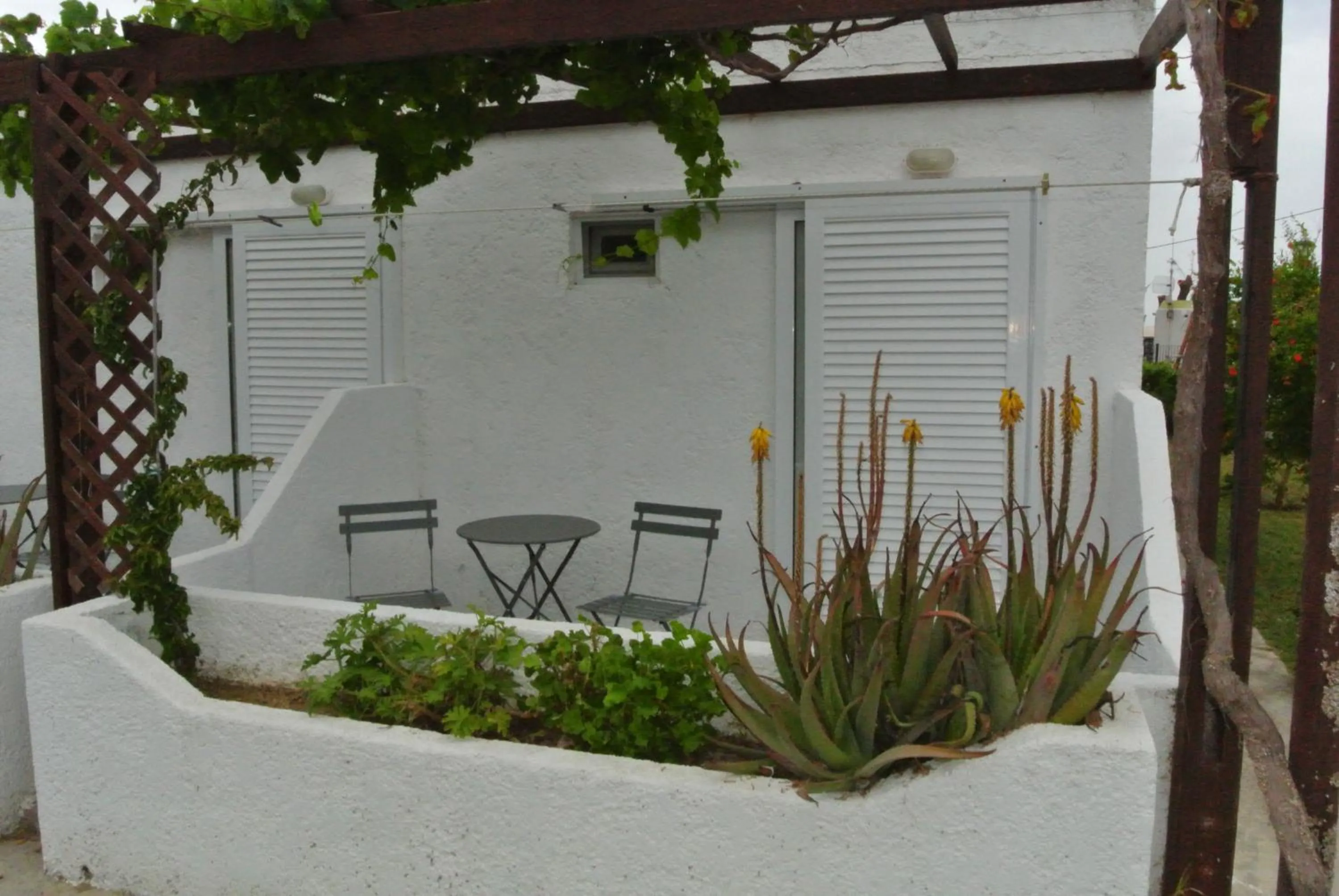 Balcony/Terrace in Kokalakis Hotel
