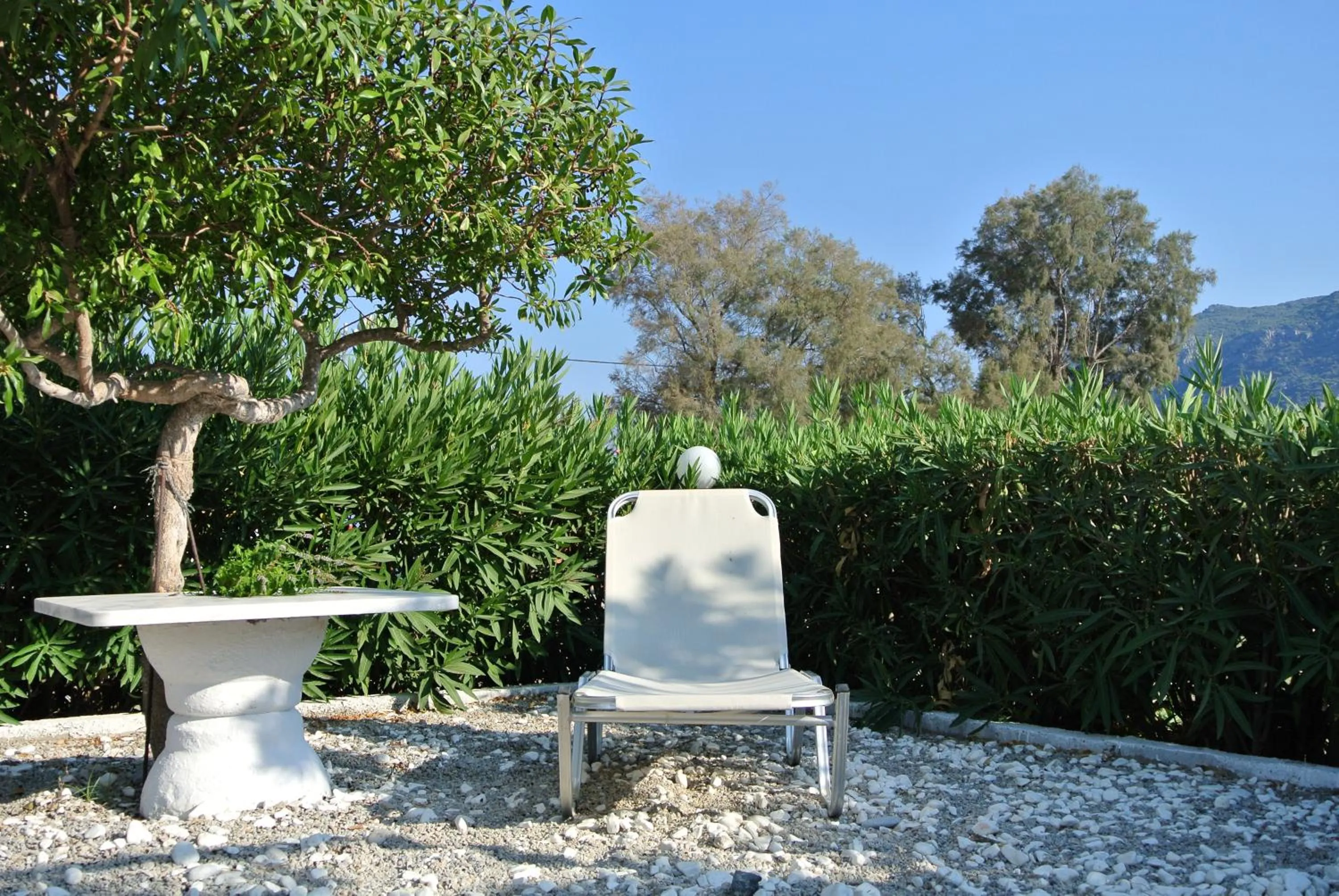Garden in Kokalakis Hotel