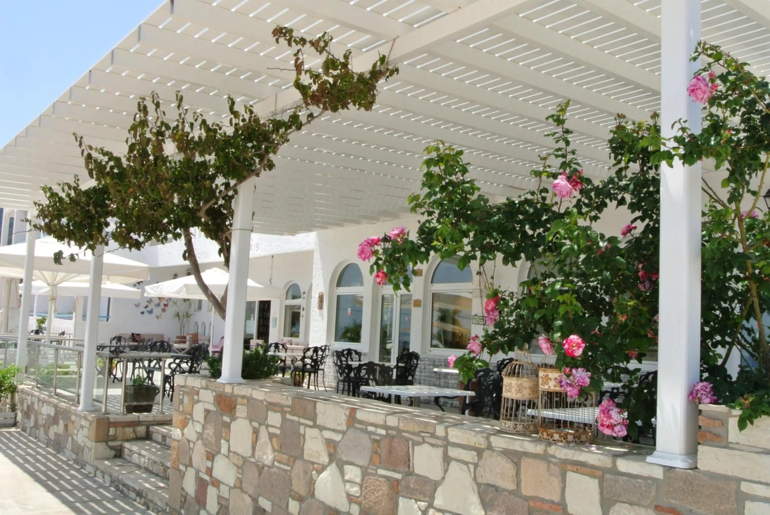 Patio in Kokalakis Hotel