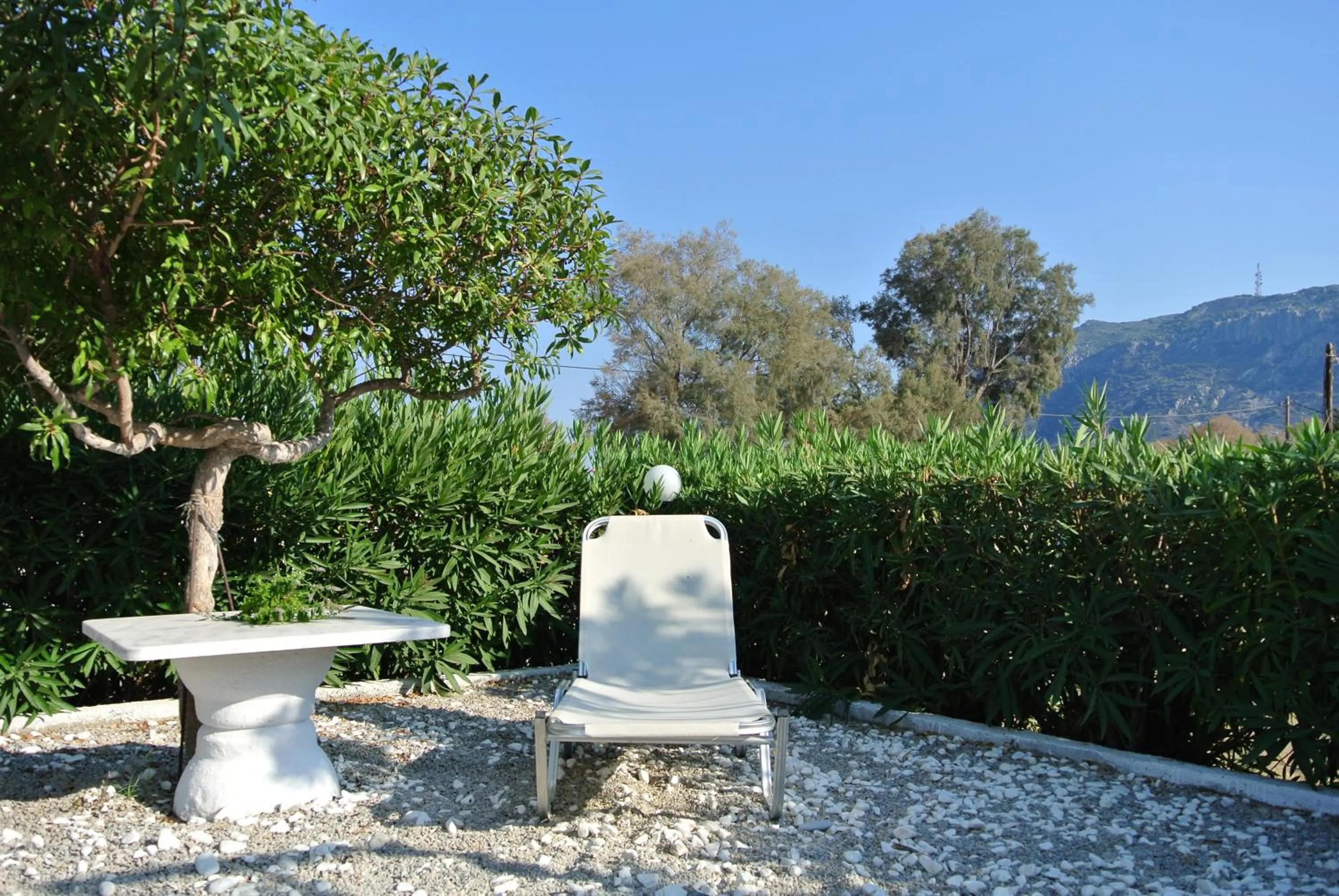 Garden in Kokalakis Hotel