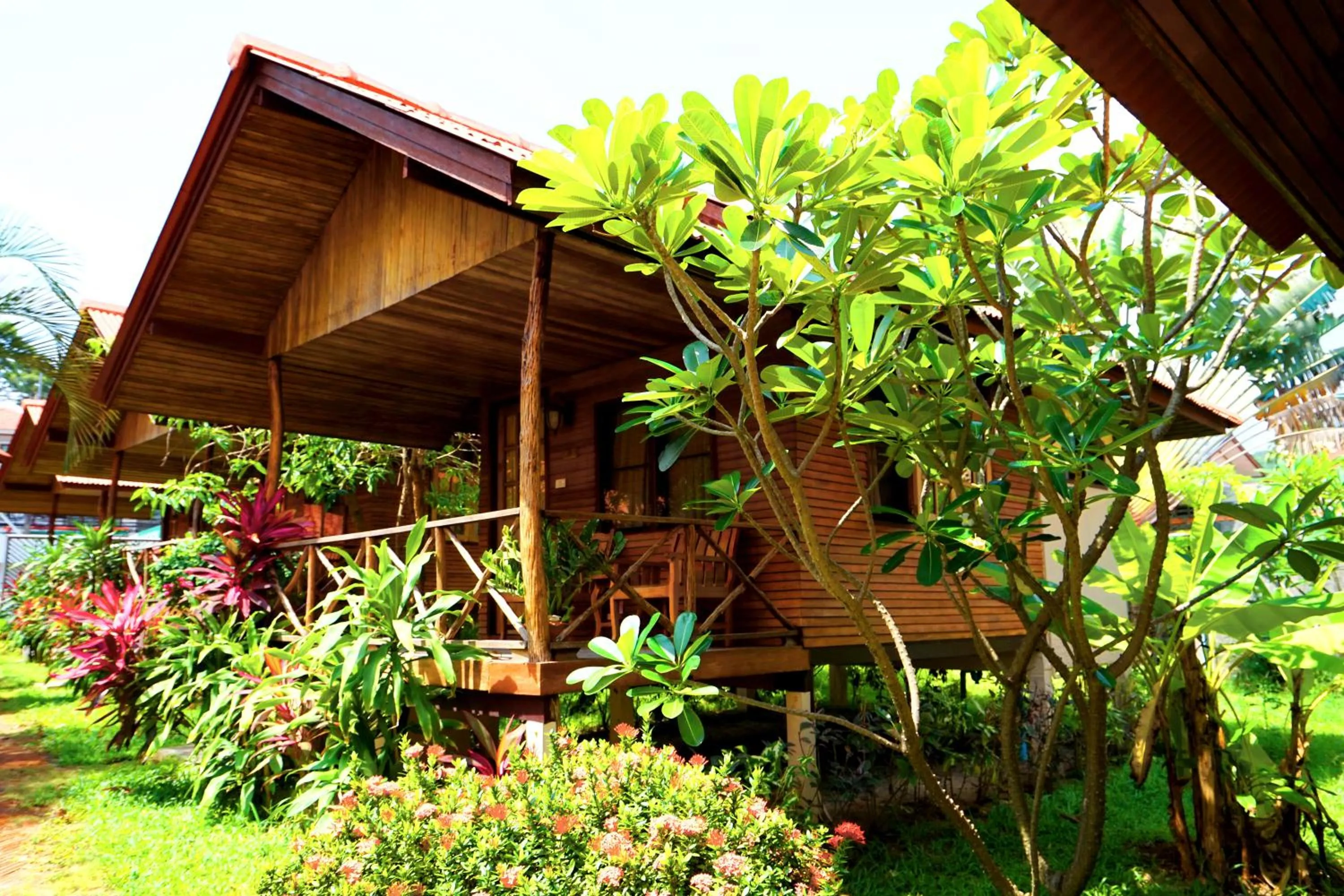 Natural landscape in Bangrak Pier Bungalow