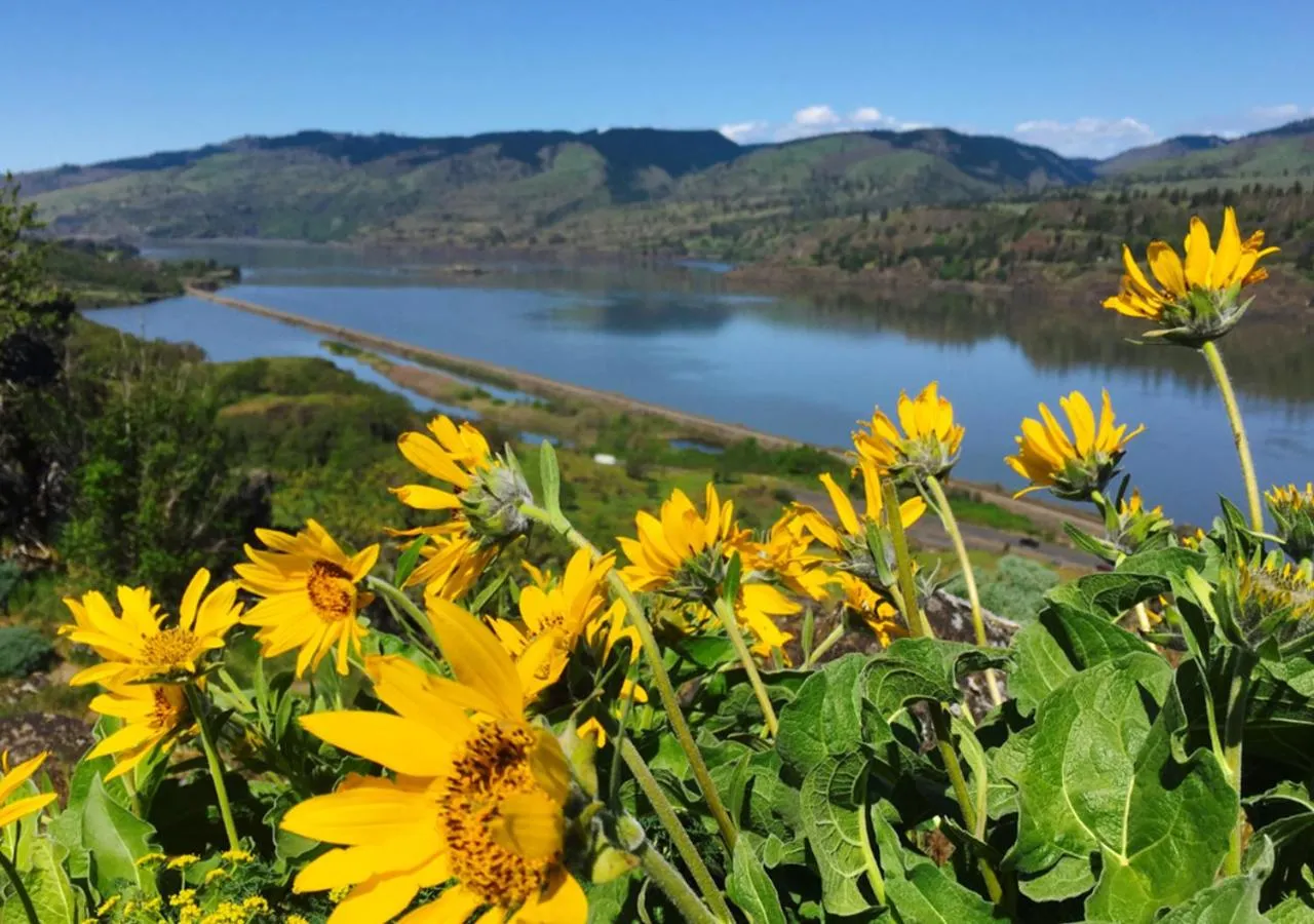 Natural landscape in The Dalles Inn