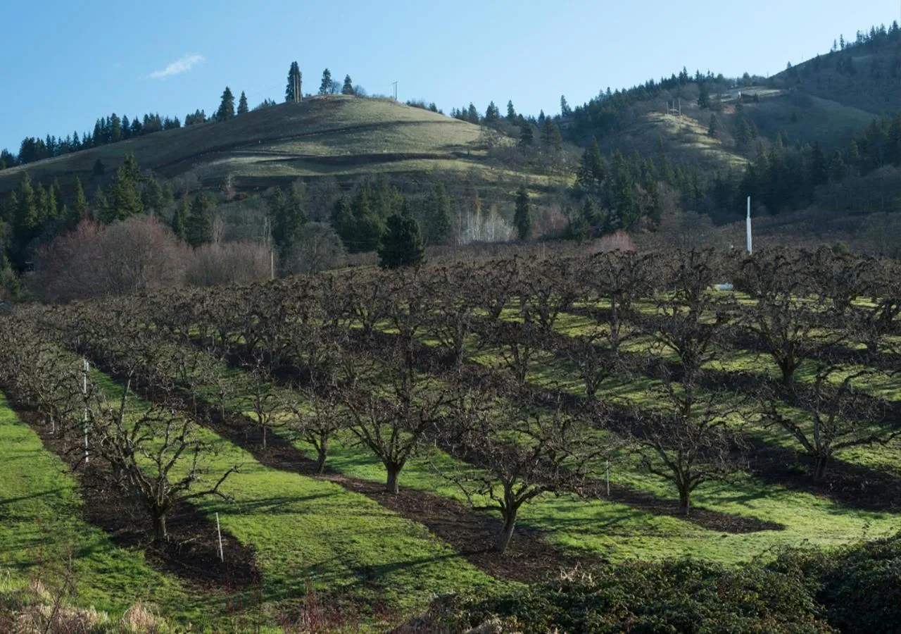 Natural landscape in The Dalles Inn