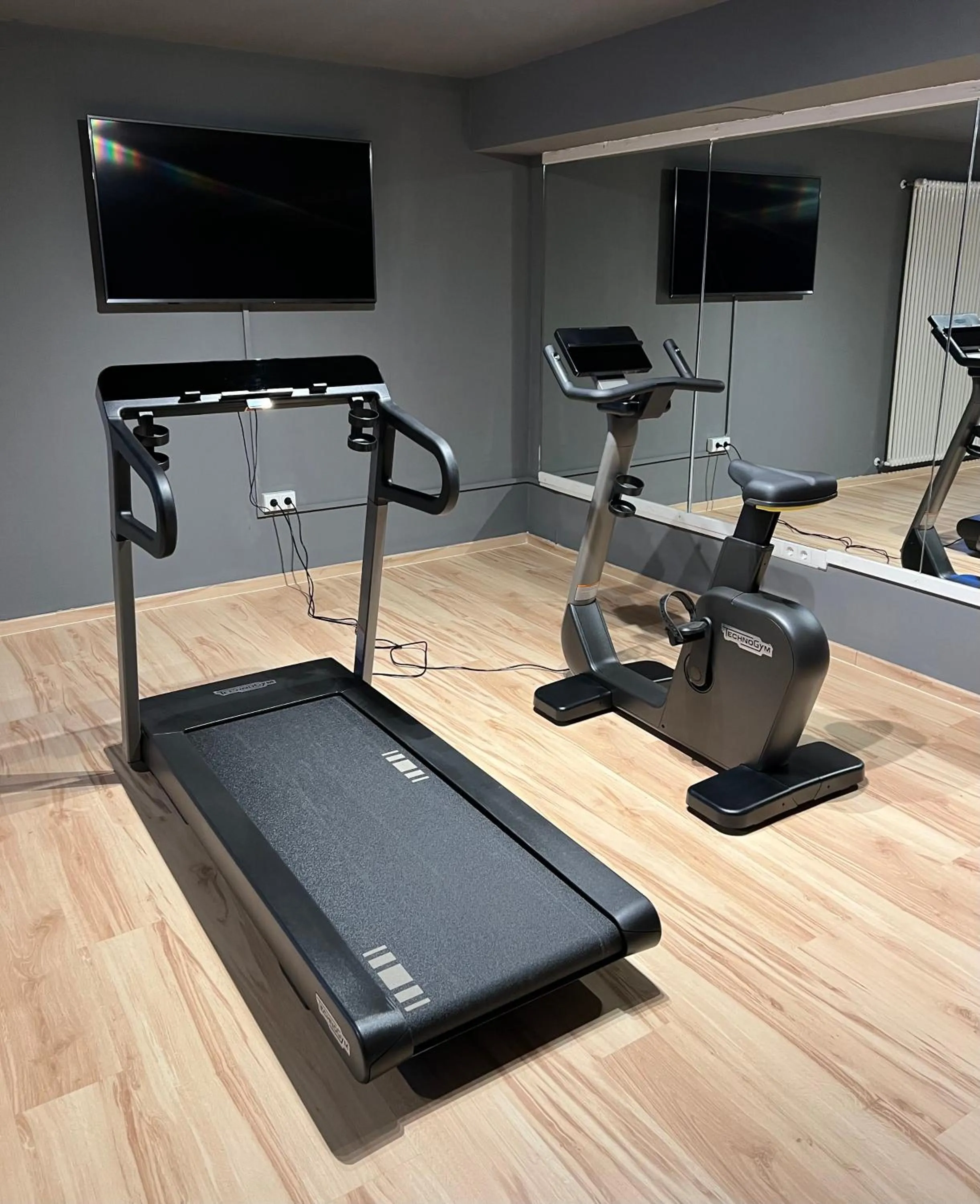 Fitness centre/facilities in Anett hotel