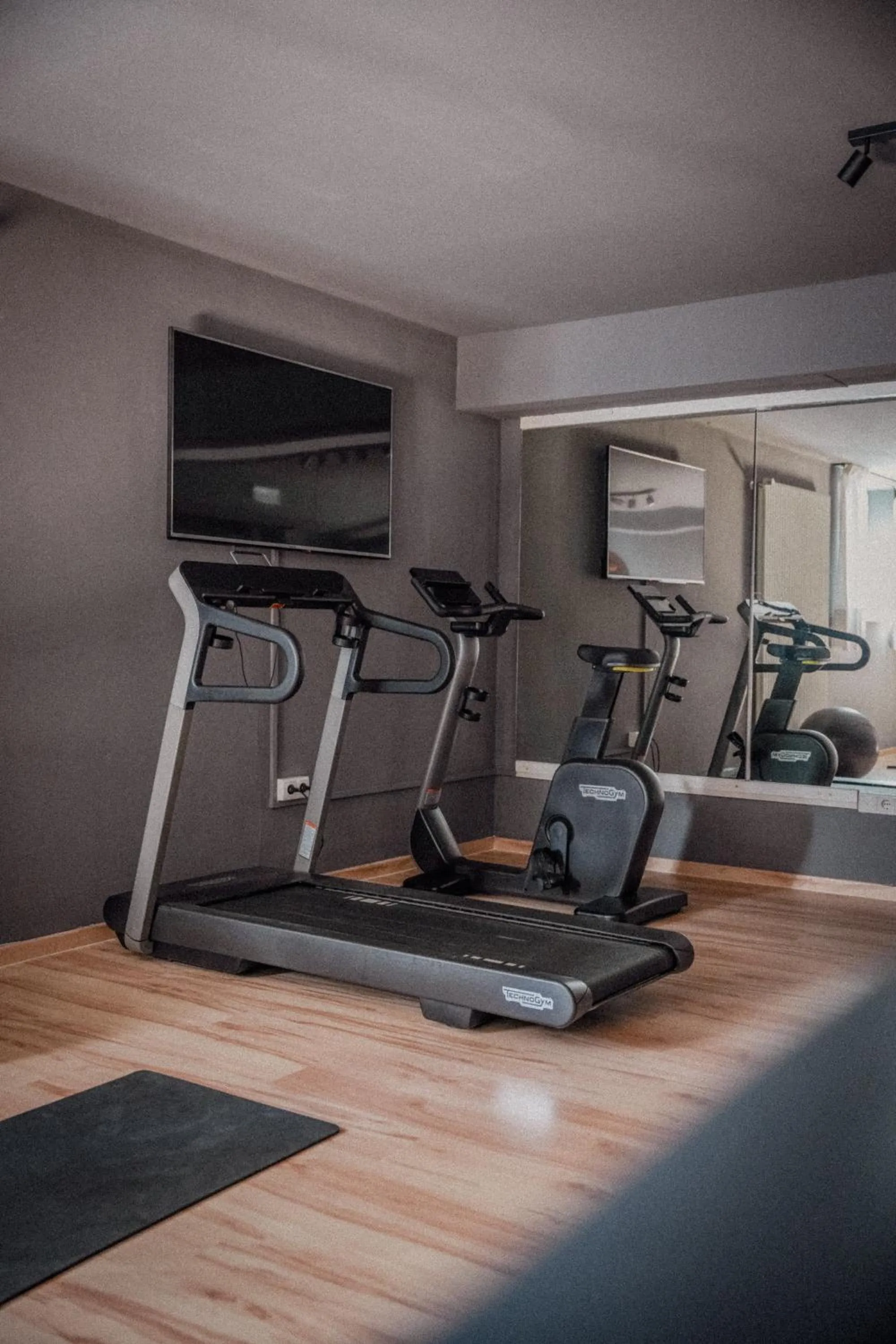Fitness centre/facilities in Anett hotel