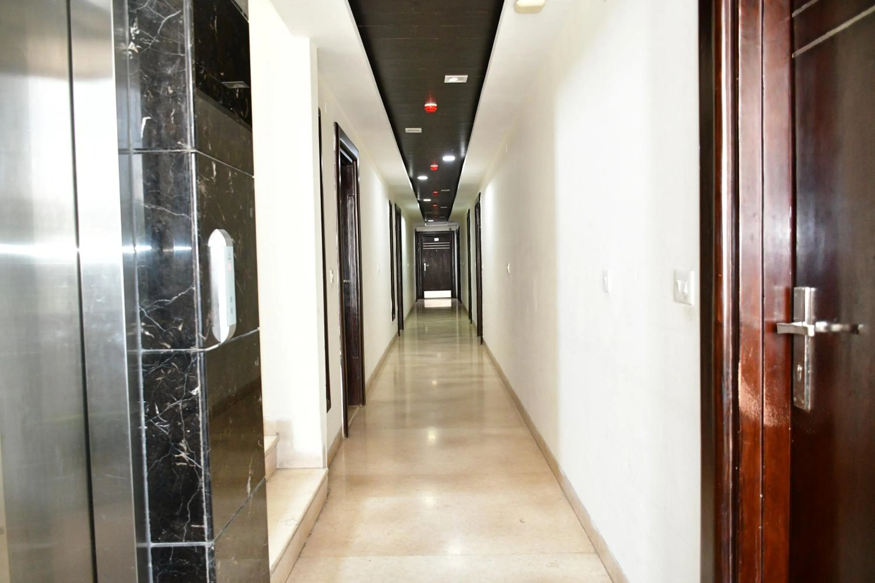 Area and facilities in Hotel The Orion