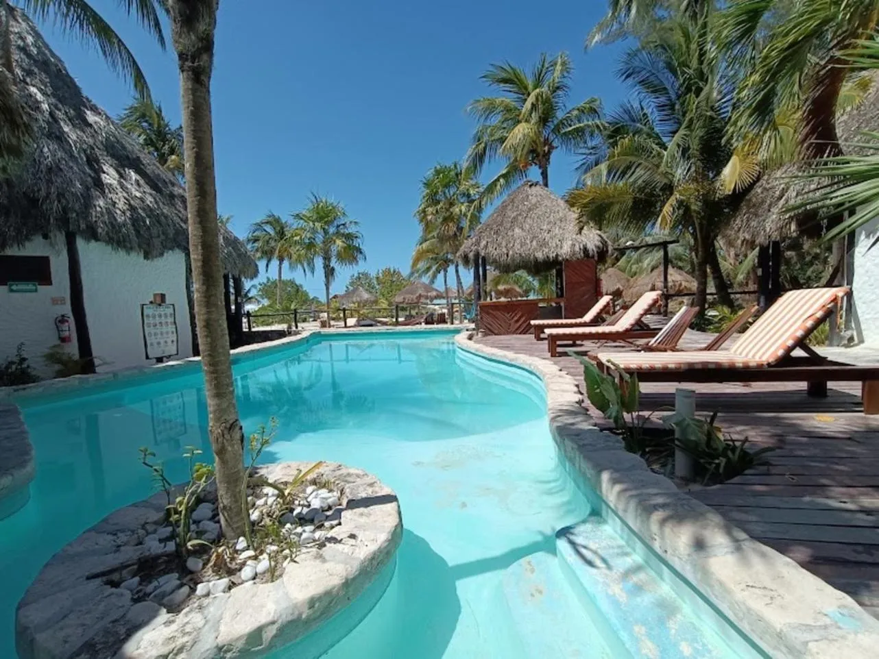 Garden in Holbox by Xaloc