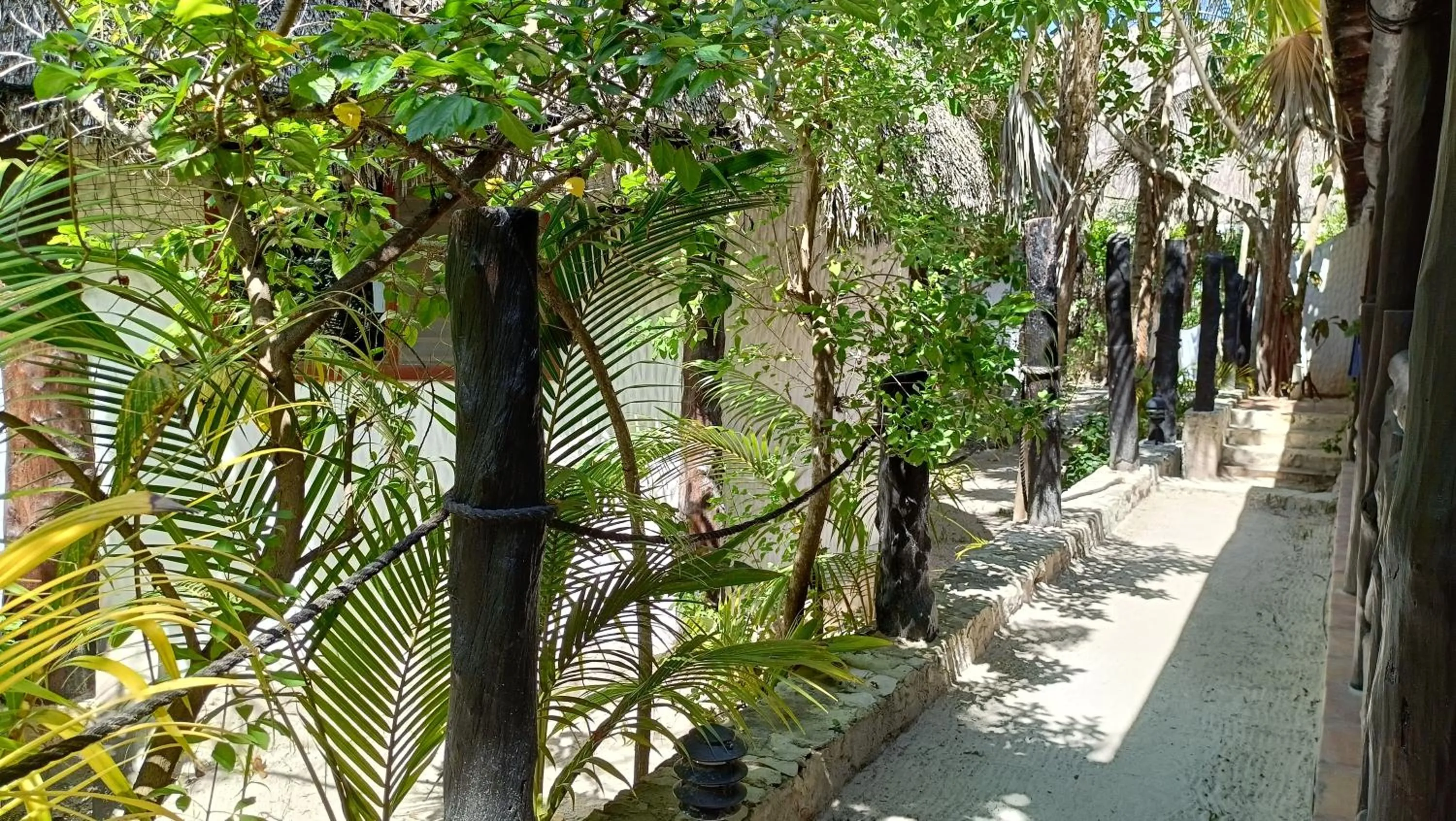 Inner courtyard view in Holbox by Xaloc