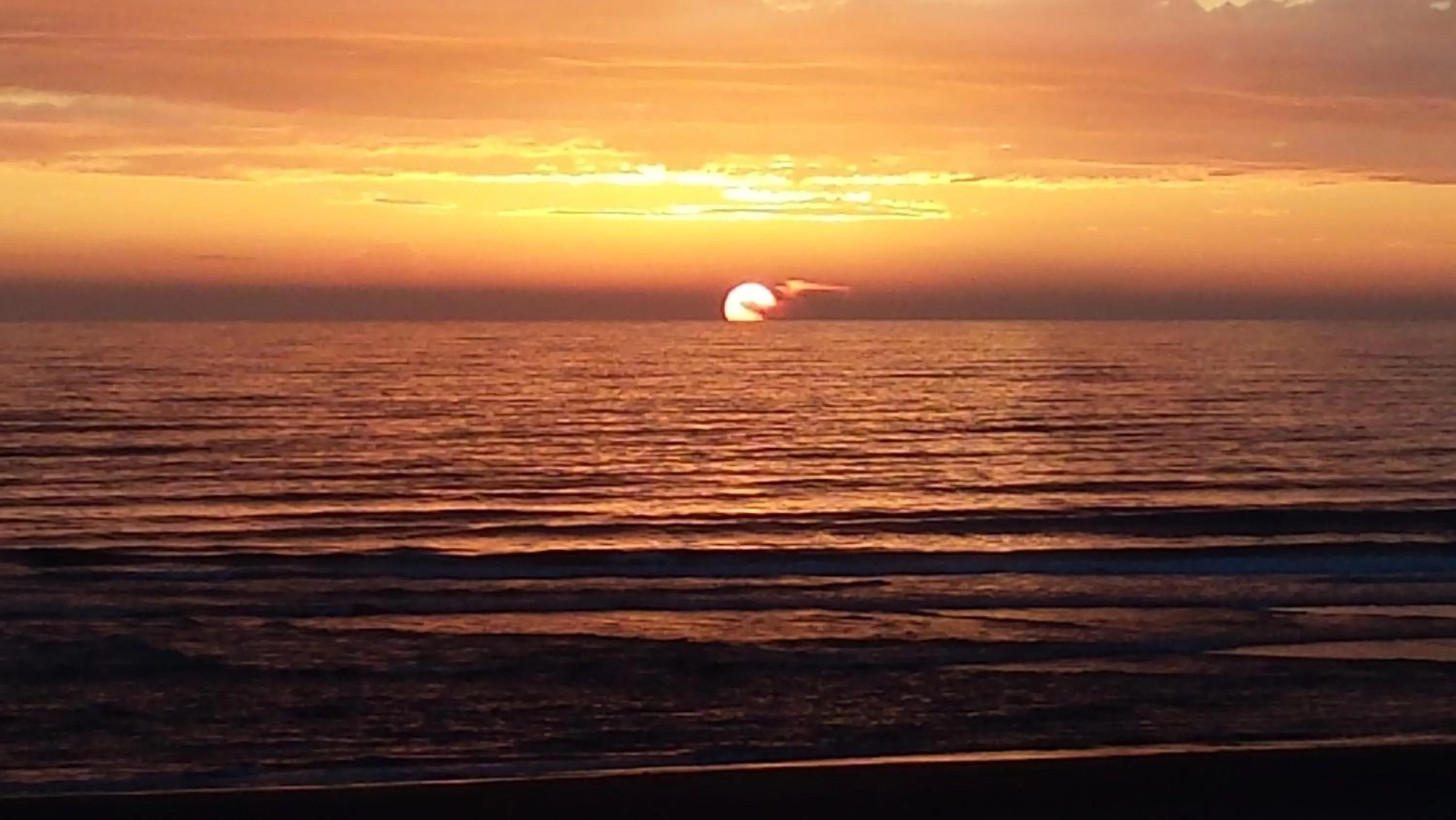 Sea view in Tradewinds Motel