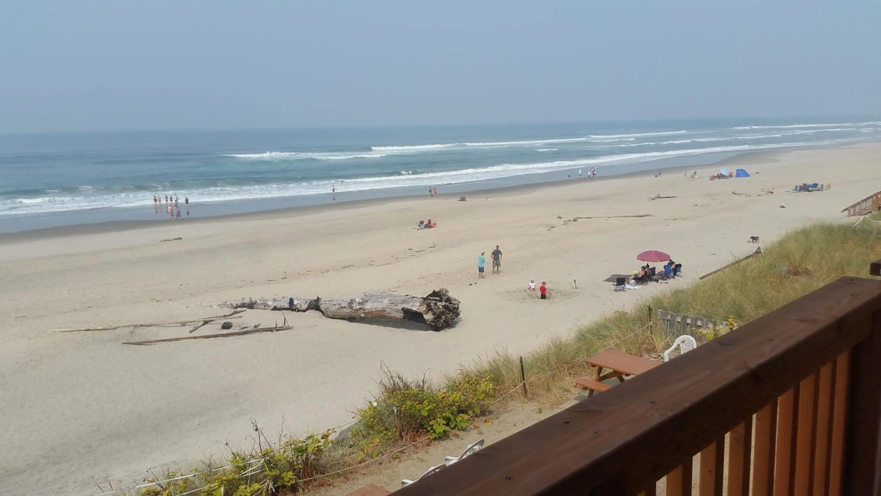 Beach in Tradewinds Motel