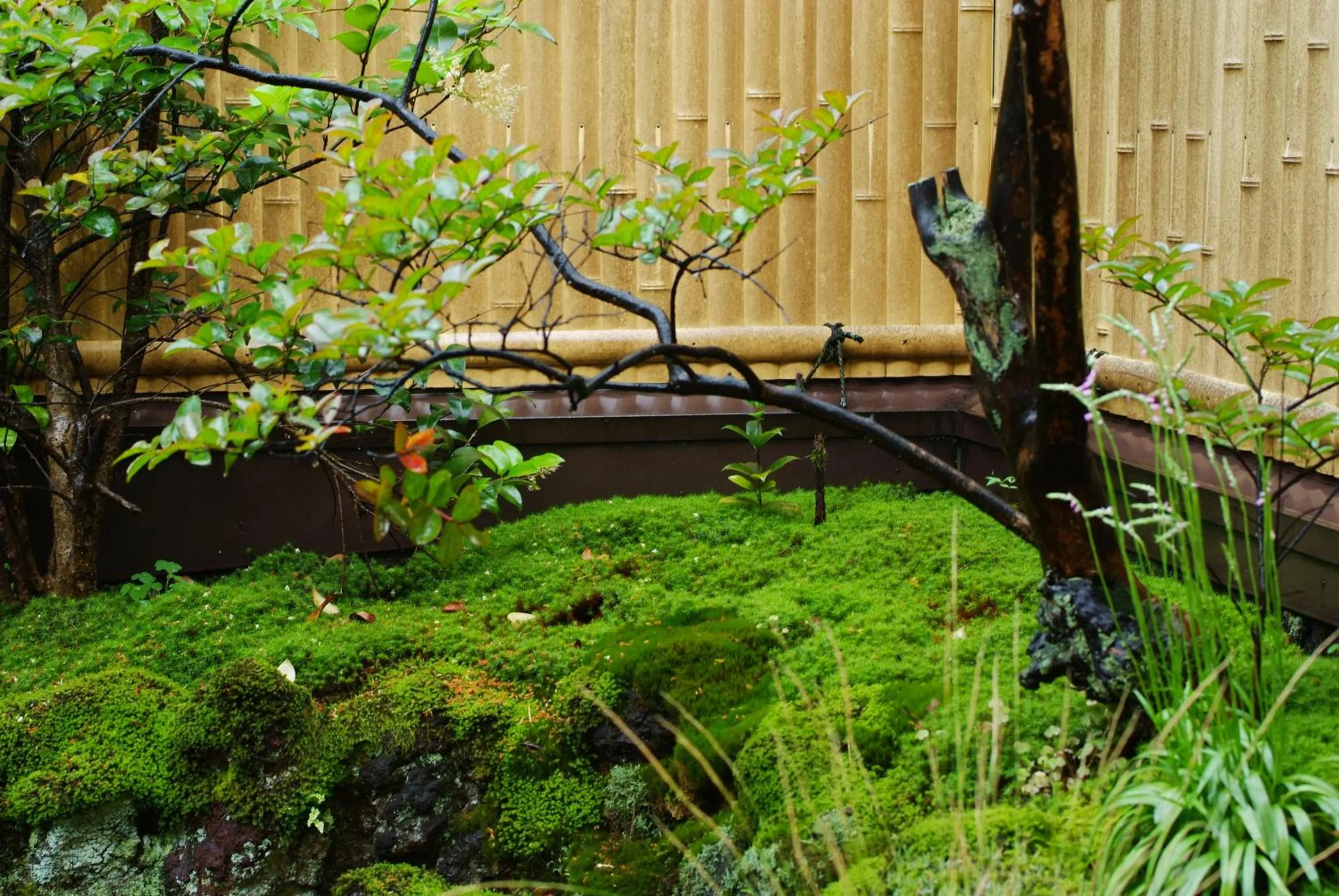 Garden in Kinosaki Onsen Tajimaya