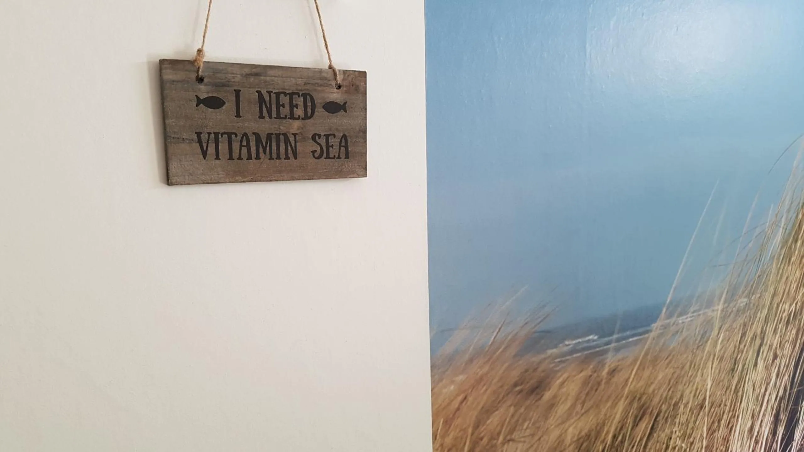 Decorative detail in Duin en Zee Texel