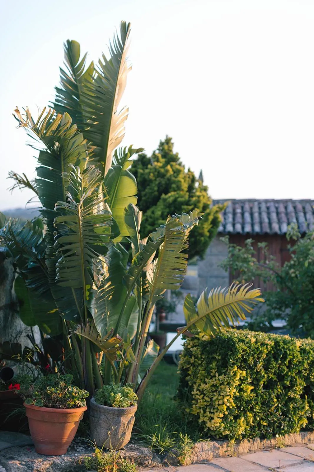 Property building in Hotel O Castro