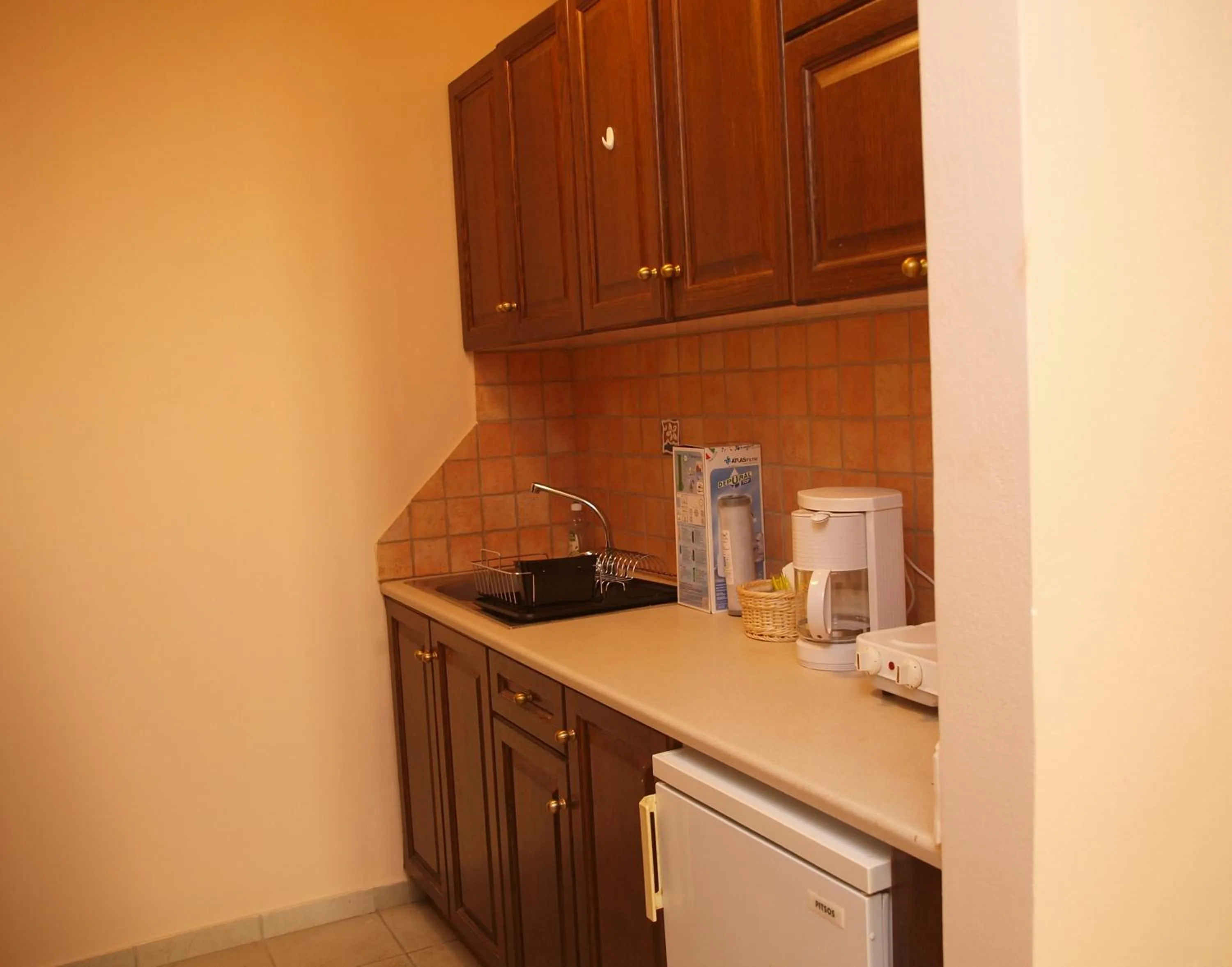 Kitchen or kitchenette in Mylos Hotel Apartments