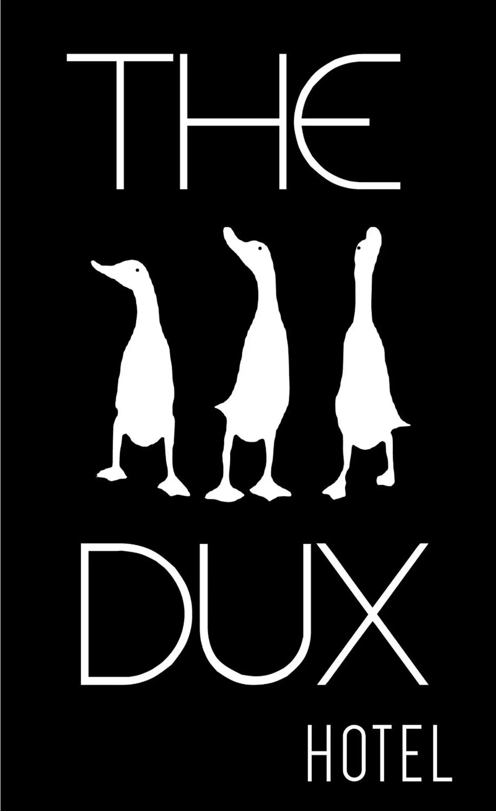 The 3 Dux The 3 Dux