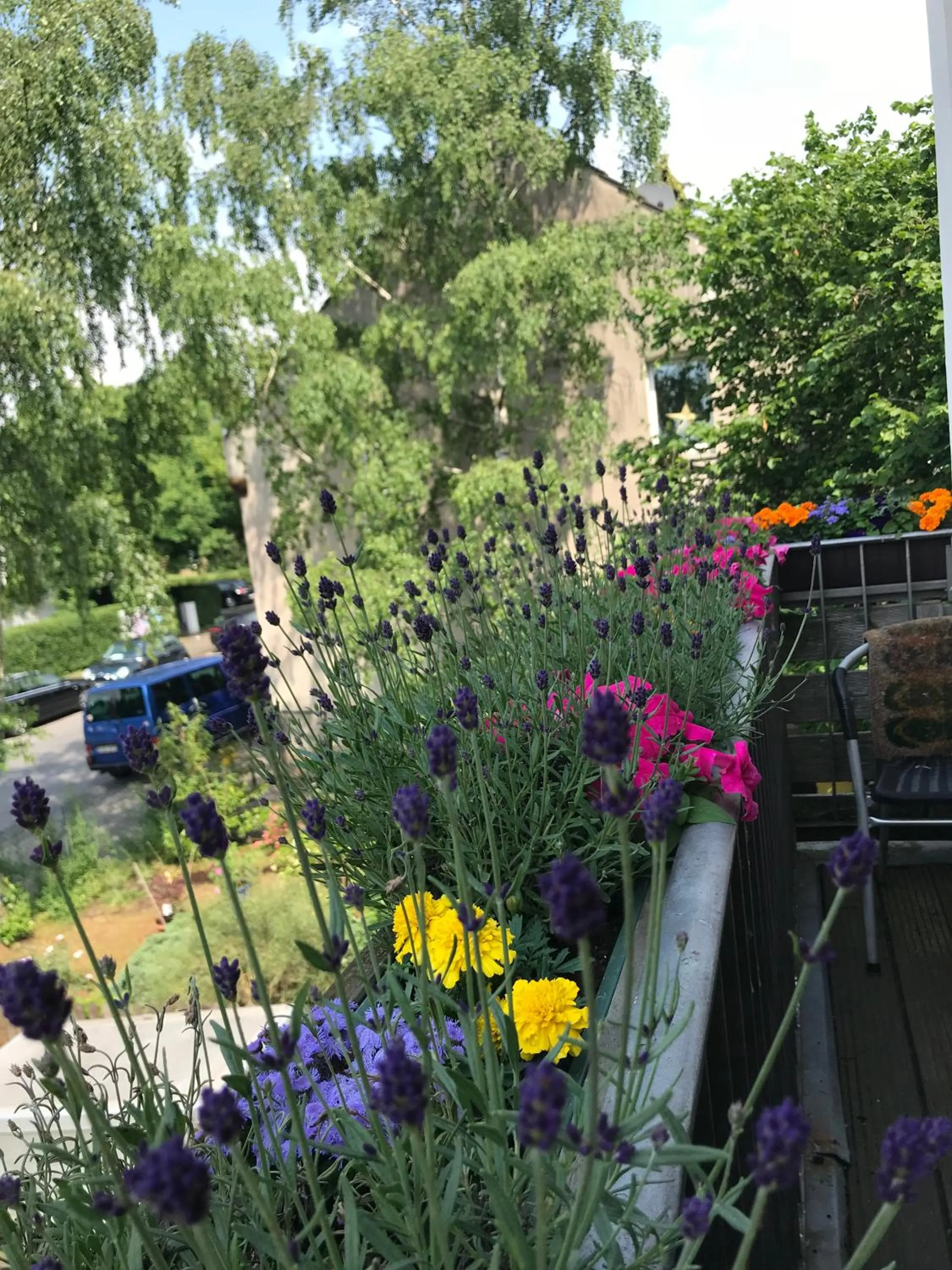 Garden view in Apartmenthaus Sonnen