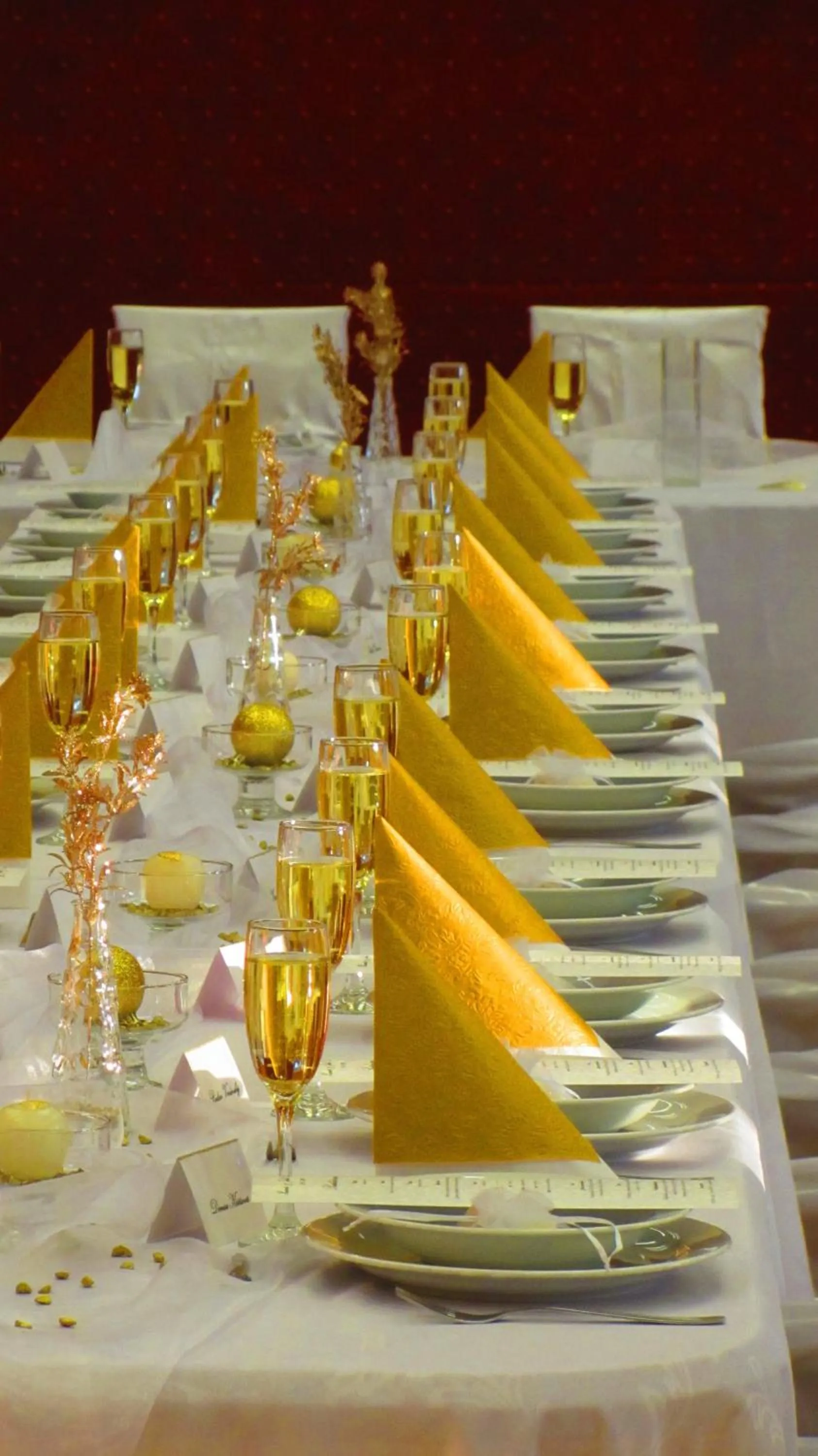 Banquet/Function facilities in Wellness & Sport Hotel TTC