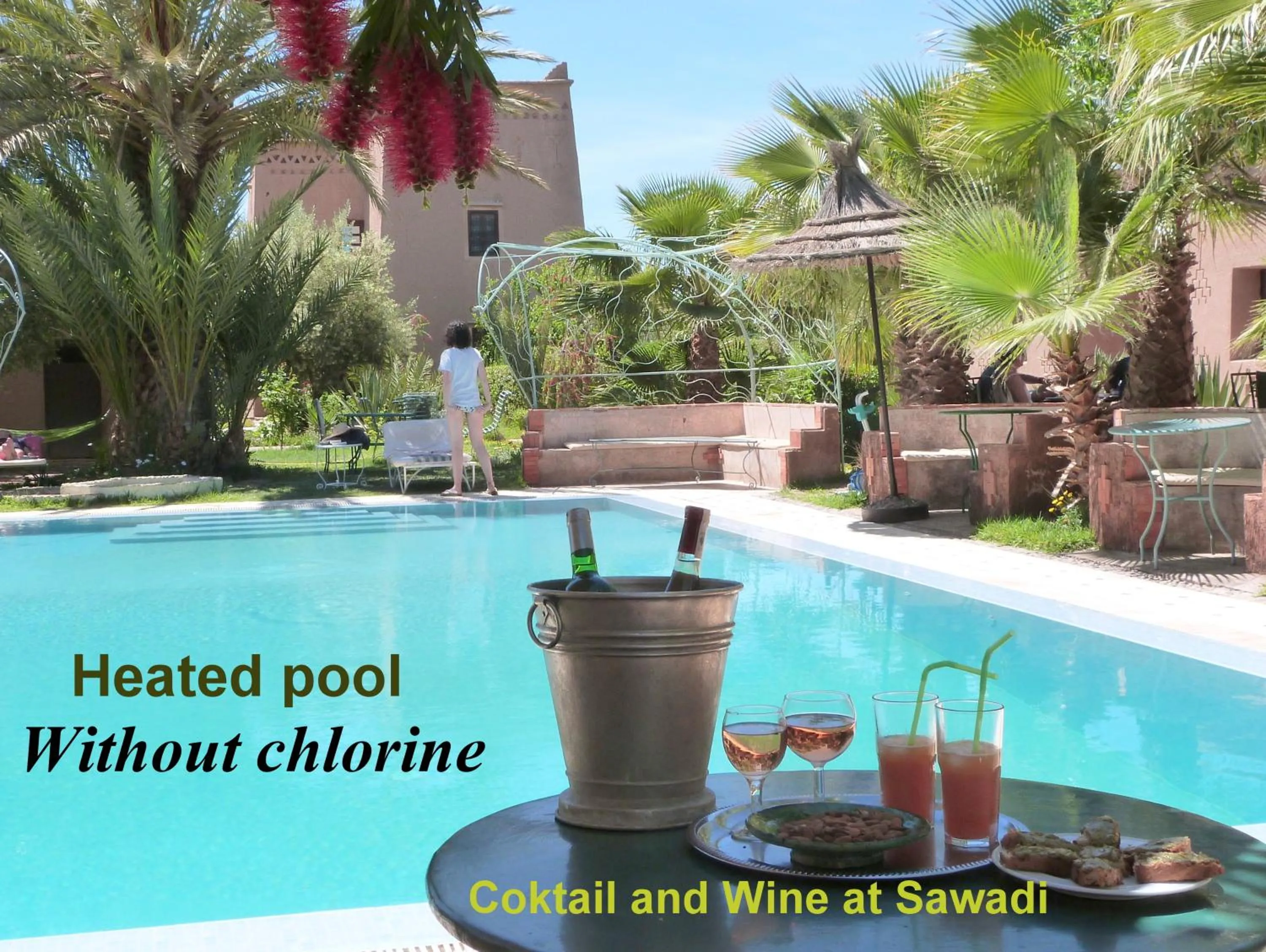 Swimming pool in Sawadi Ecolodge