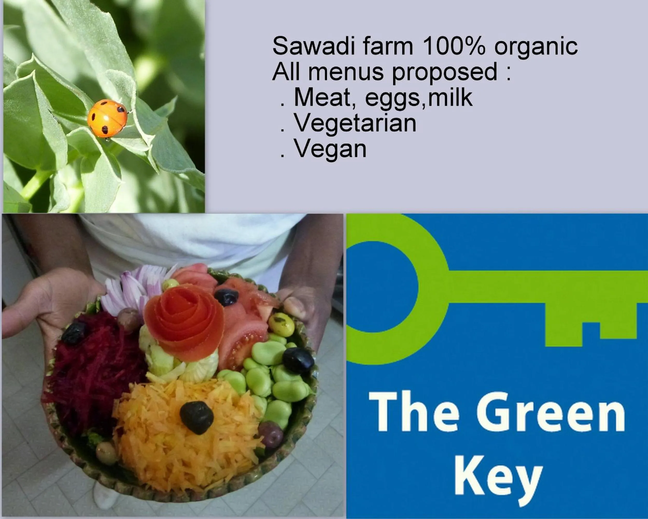 Logo/Certificate/Sign in Sawadi Ecolodge